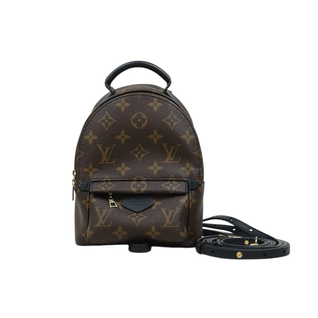 Louis Vuitton Mini Palm Springs Monogram