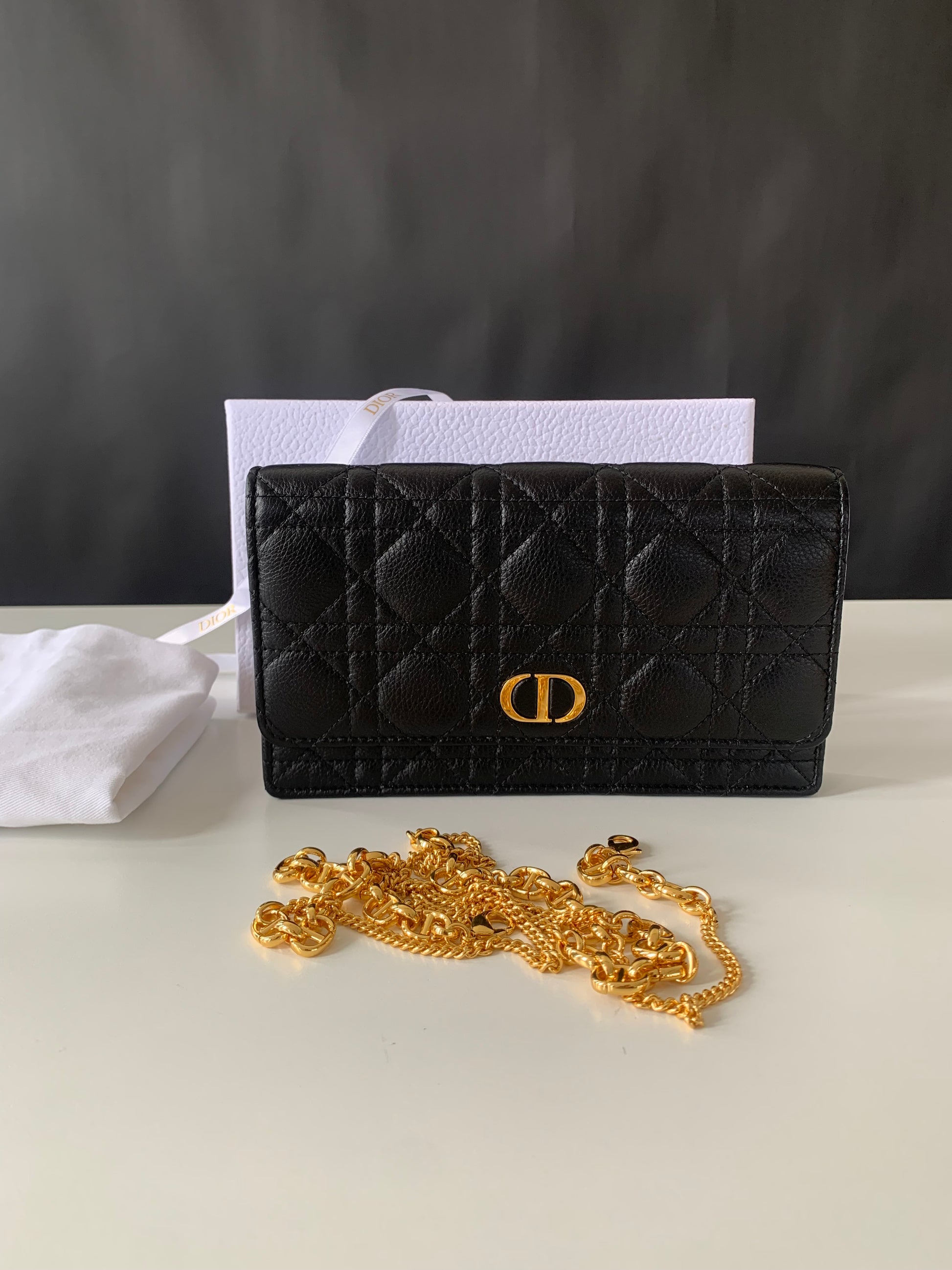 Dior Caro Pouch with Chain