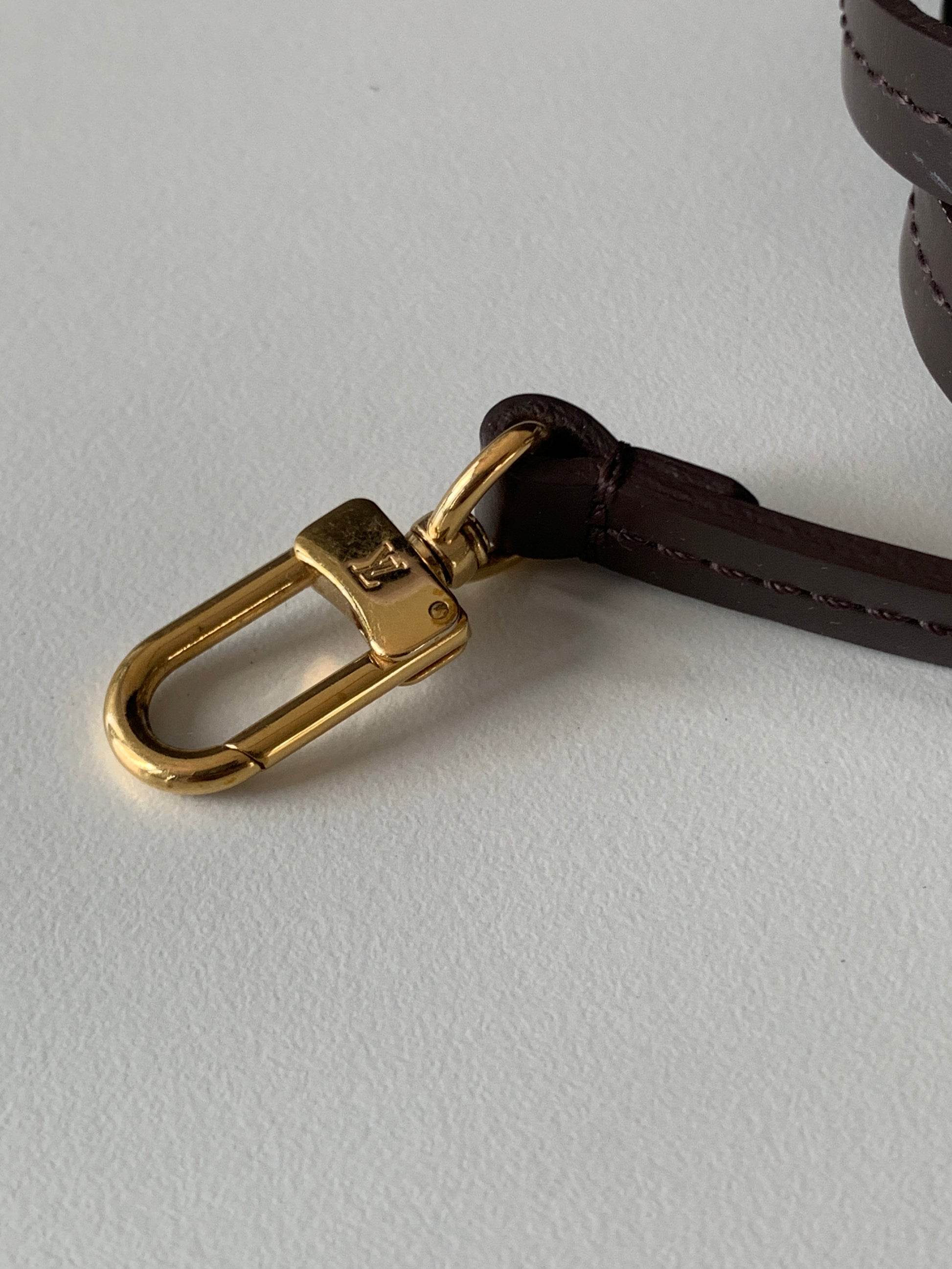 Louis Vuitton Favorite MM Damier Ebene