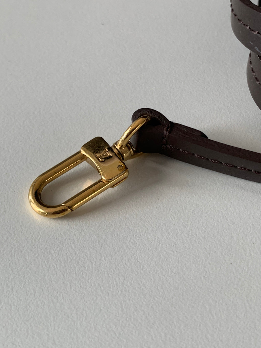 Louis Vuitton Favorite MM Damier Ebene