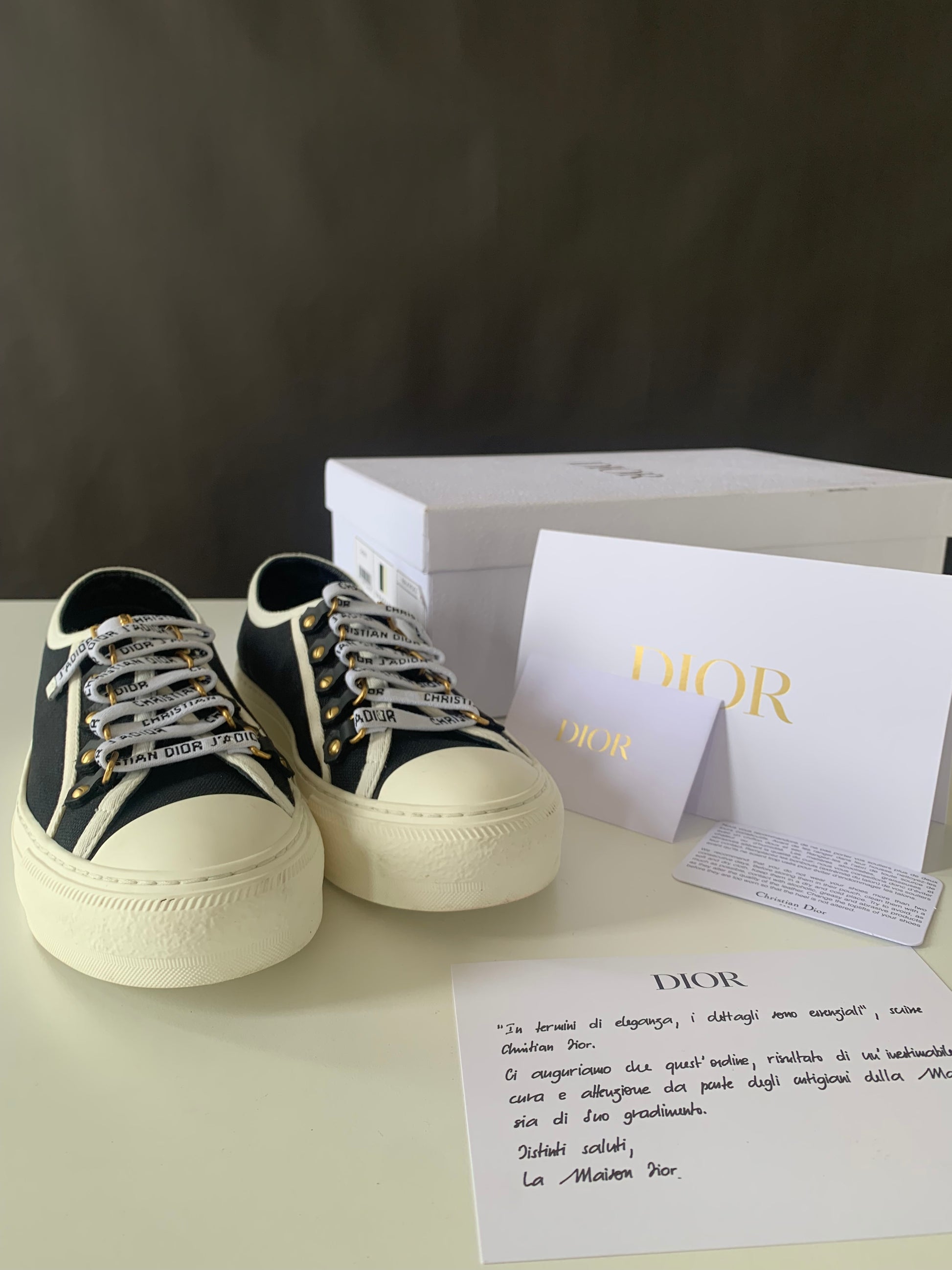 Dior Canvas Dot Walk'N'Dior Low Top Sneakers 36