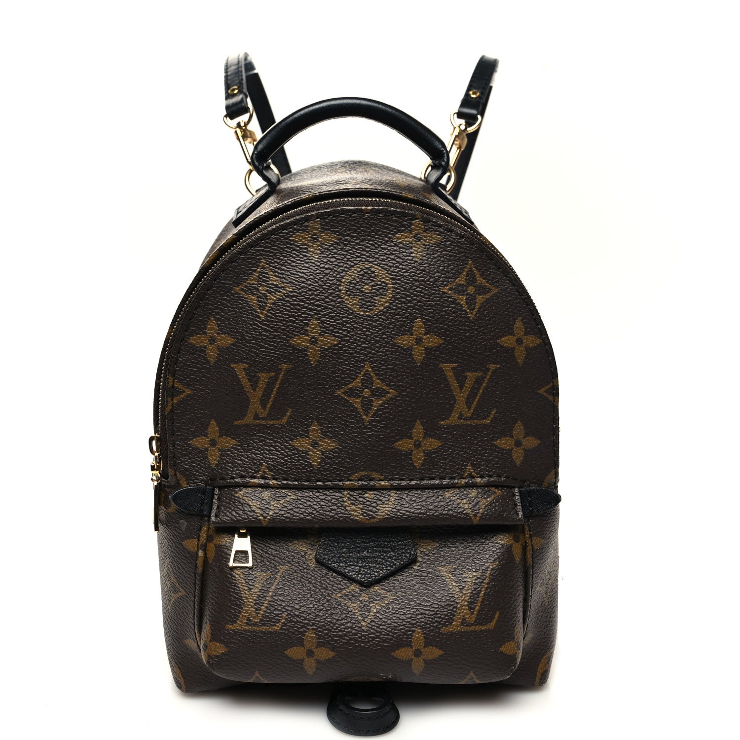 Louis Vuitton Palm Springs Mini Monogram