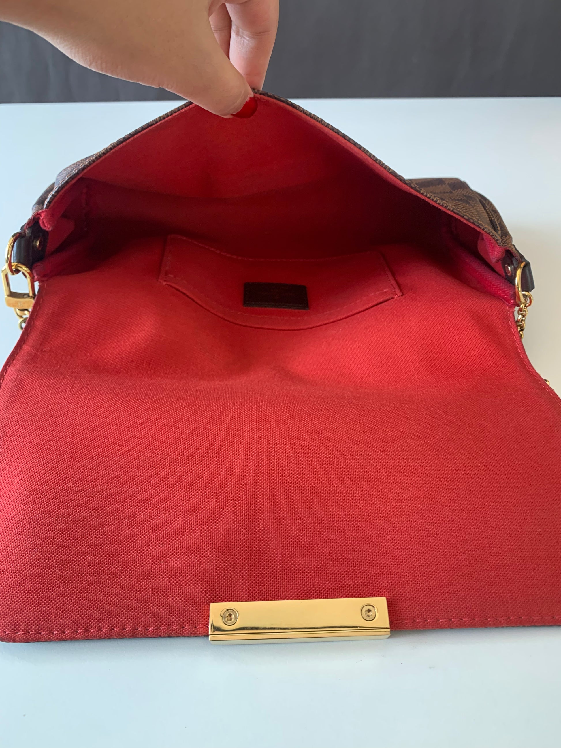 Louis Vuitton Favorite MM Damier Ebene