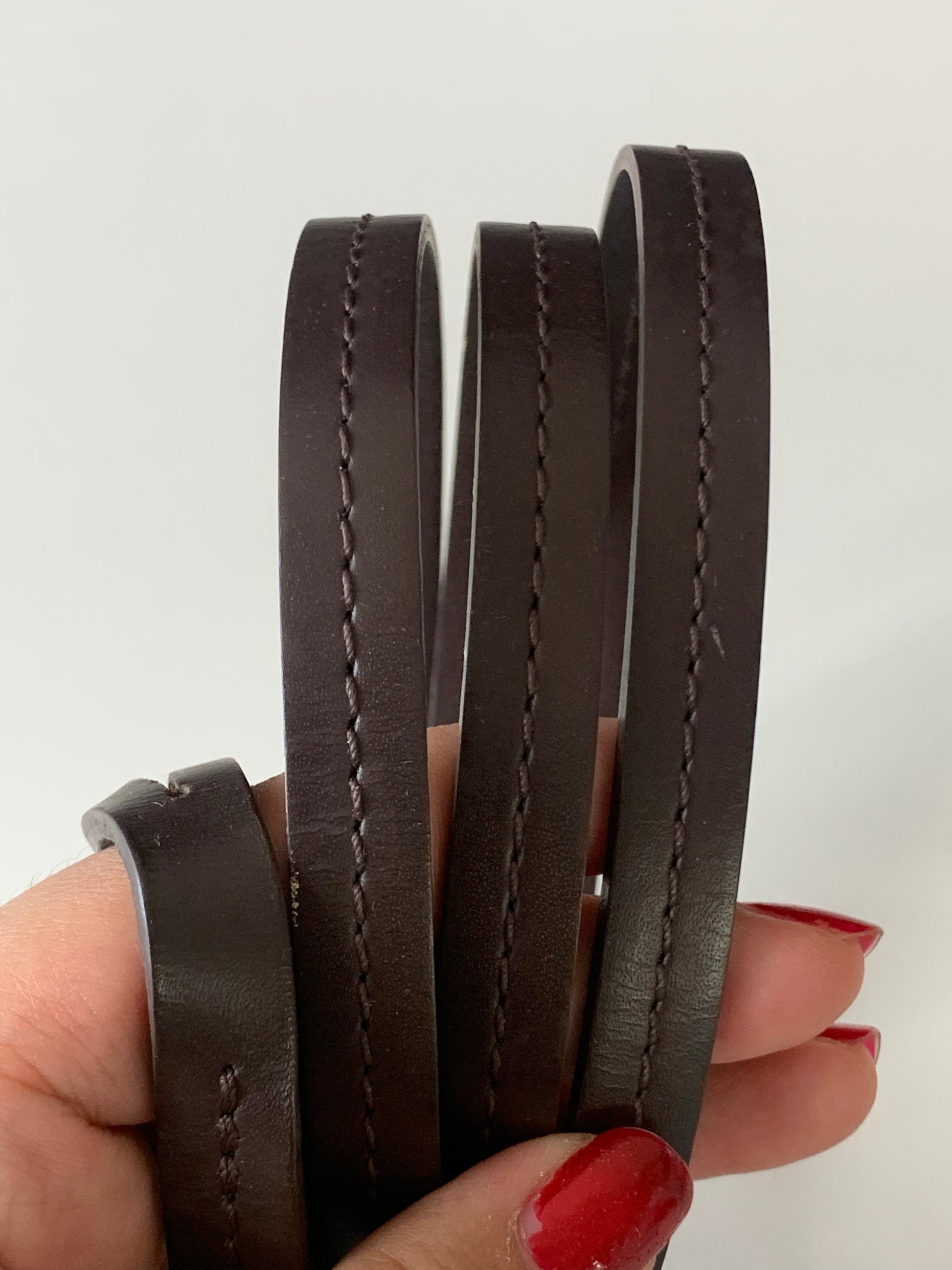 Louis Vuitton Favorite MM Damier Ebene