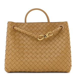 Bottega Veneta Andiamo Medium