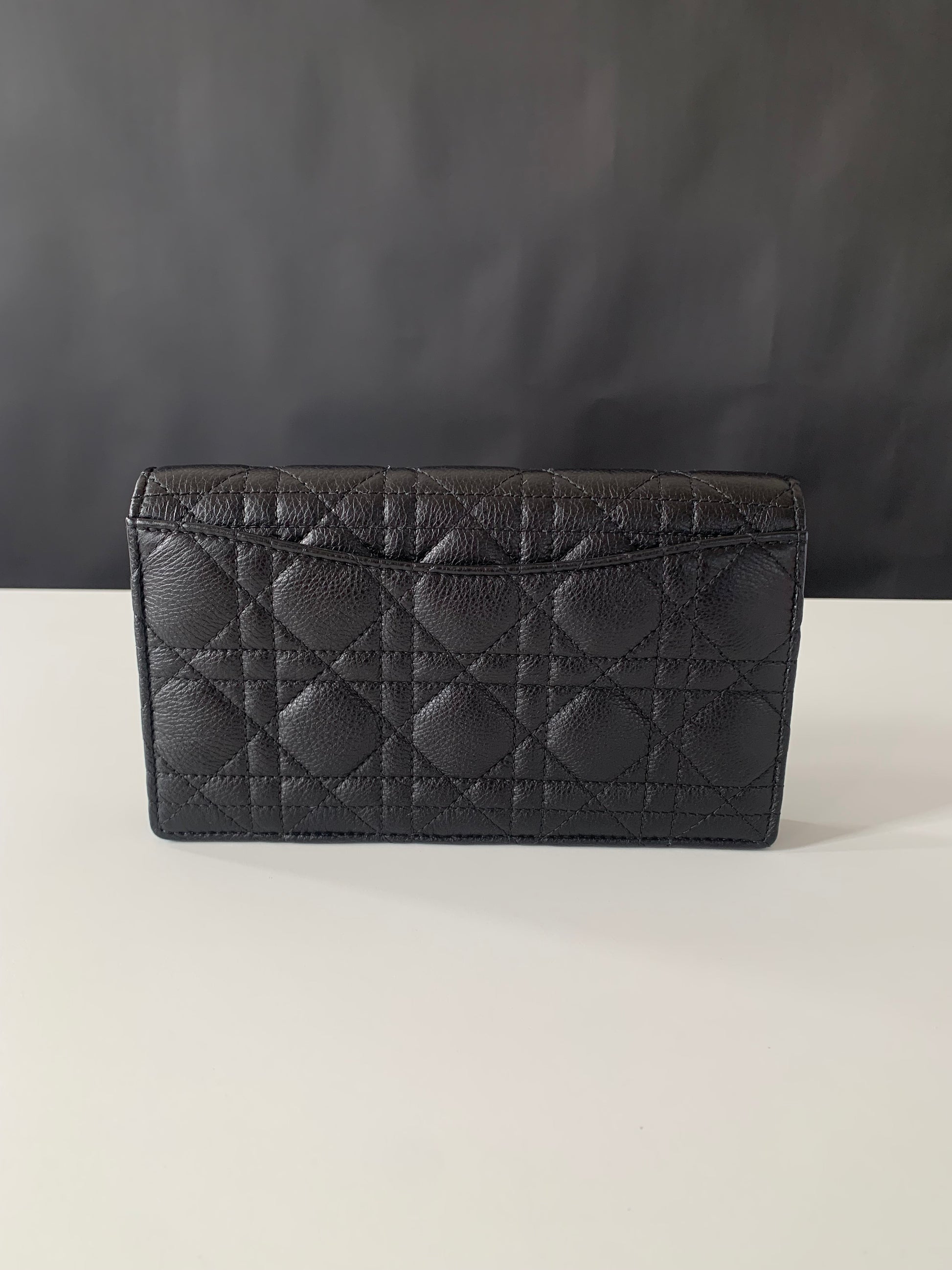 Dior Caro Pouch with Chain