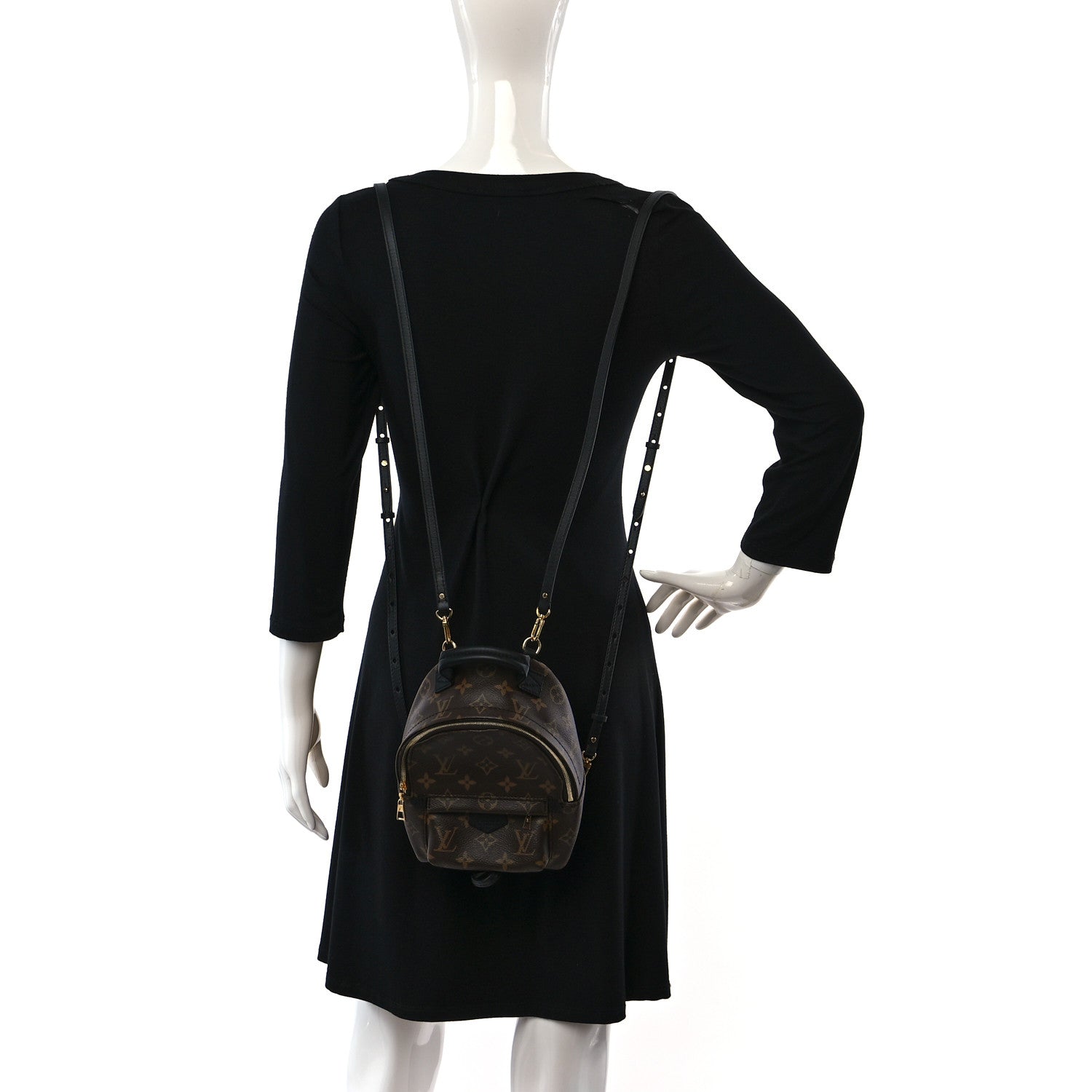 Louis Vuitton Palm Springs Mini Monogram