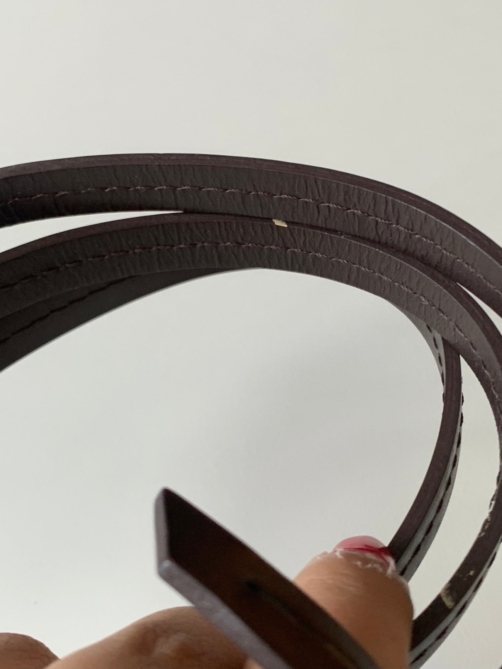 Louis Vuitton Favorite MM Damier Ebene