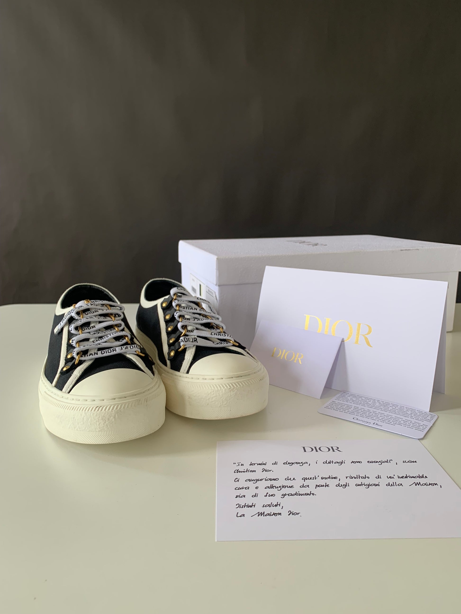 Dior Canvas Dot Walk'N'Dior Low Top Sneakers 36