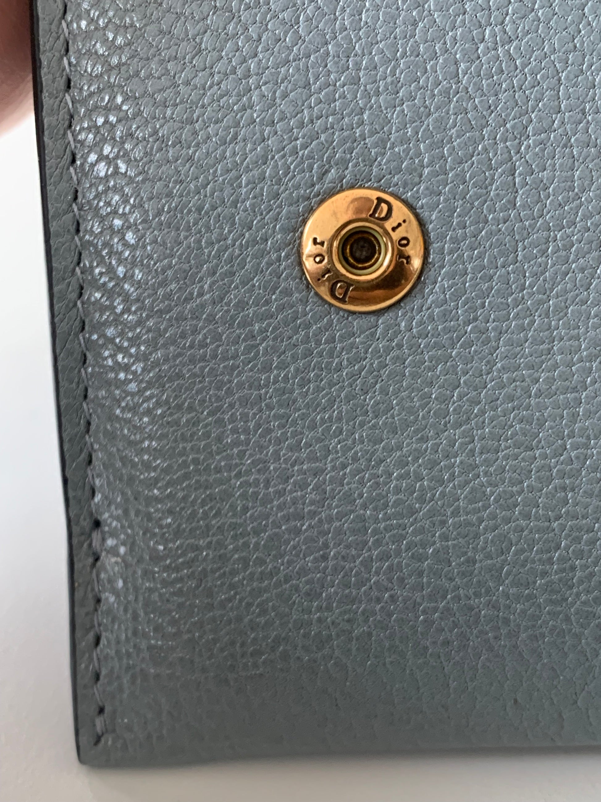 Dior Saddle Pouch Goatskin