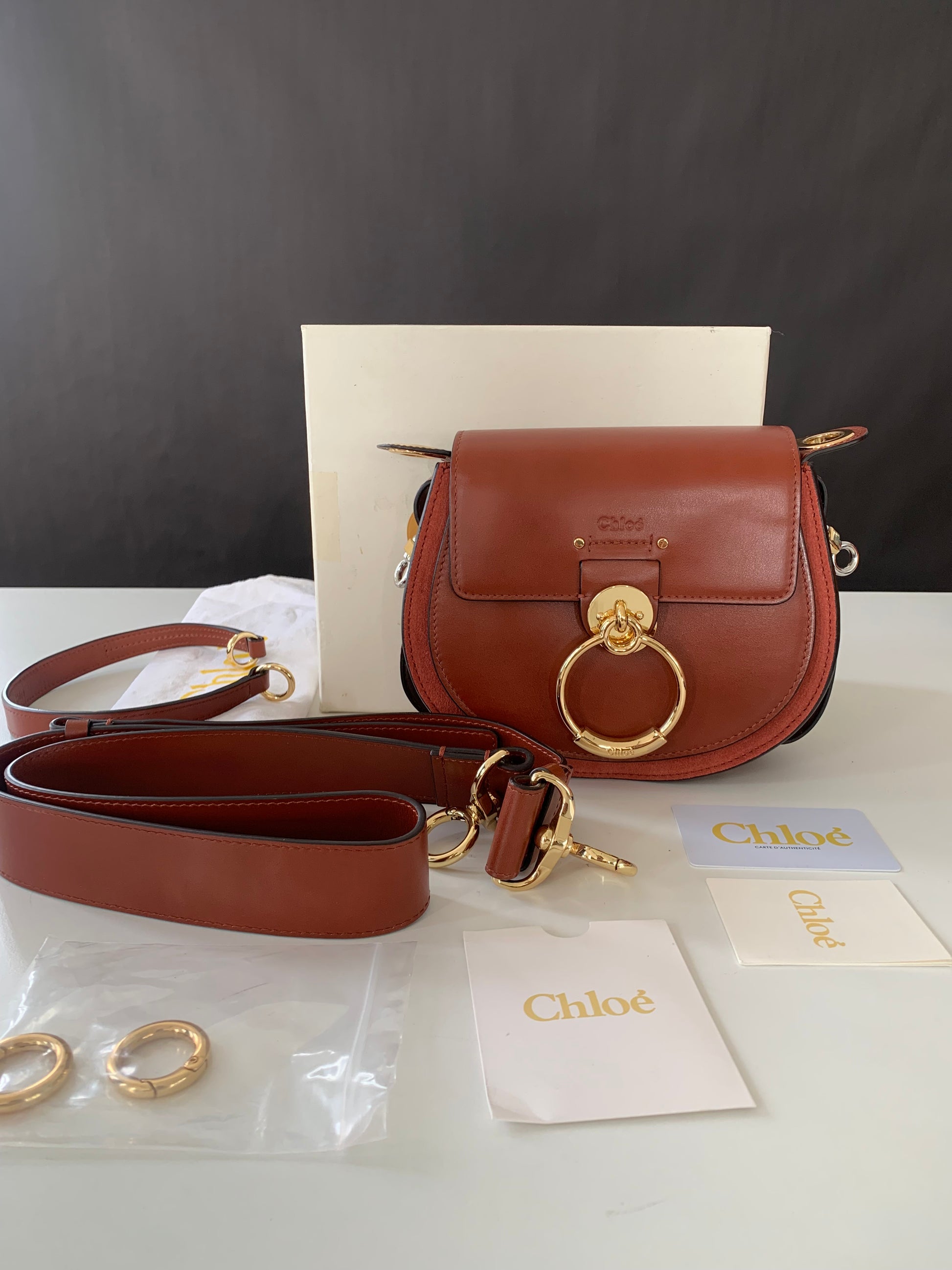Chloé Tess Small Saddle Bag