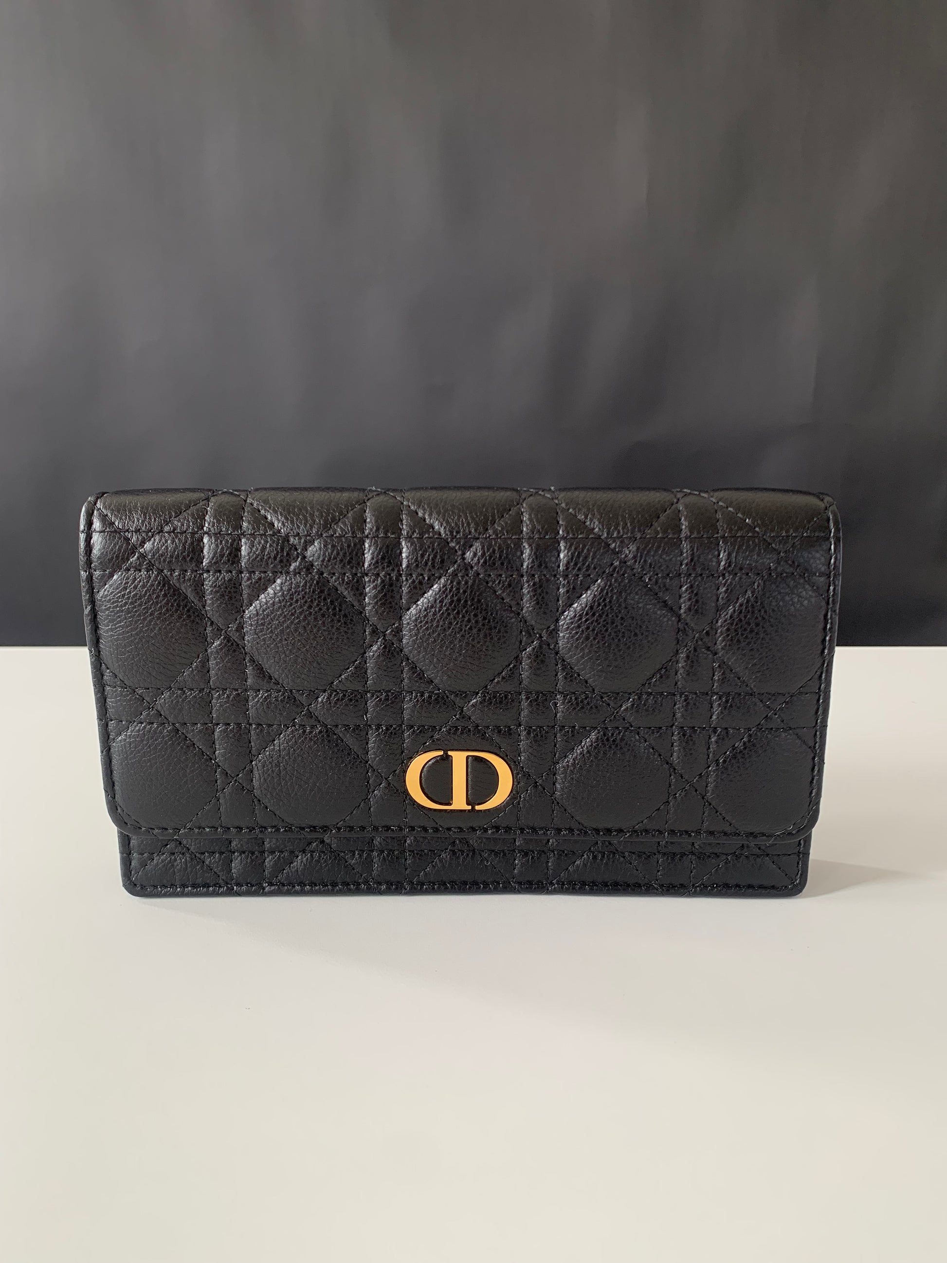 Dior Caro Pouch with Chain