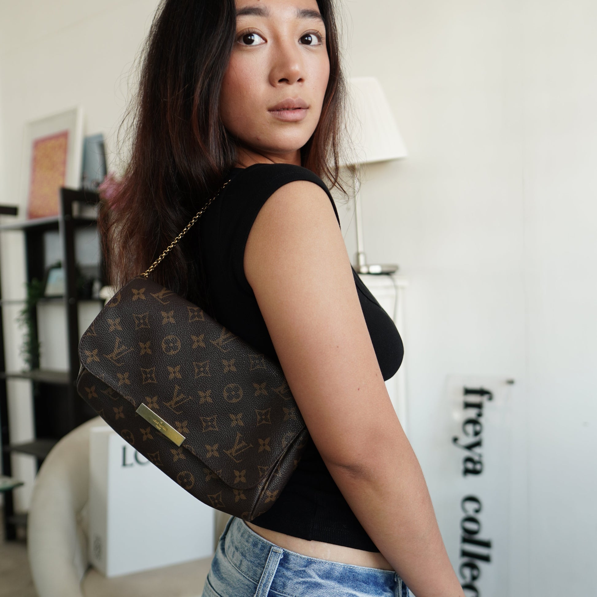 Louis Vuitton Favorite MM Monogram