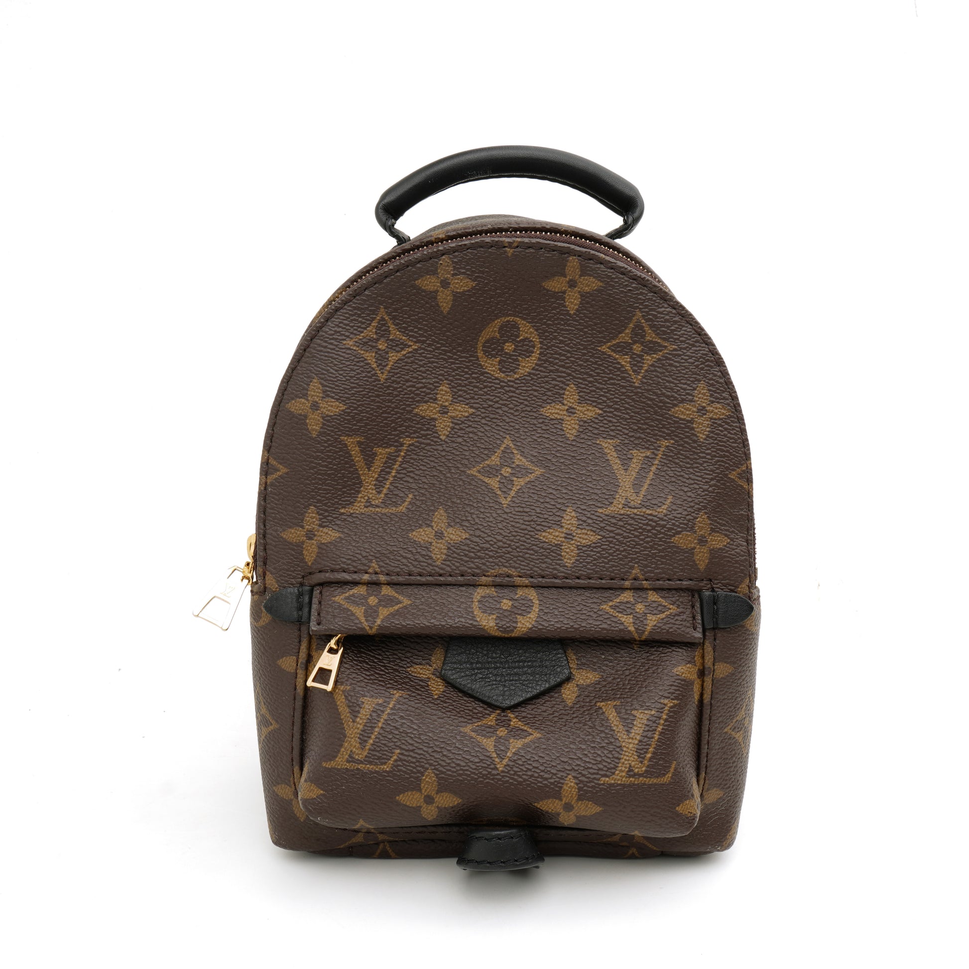 Louis Vuitton Palm Springs Mini Monogram