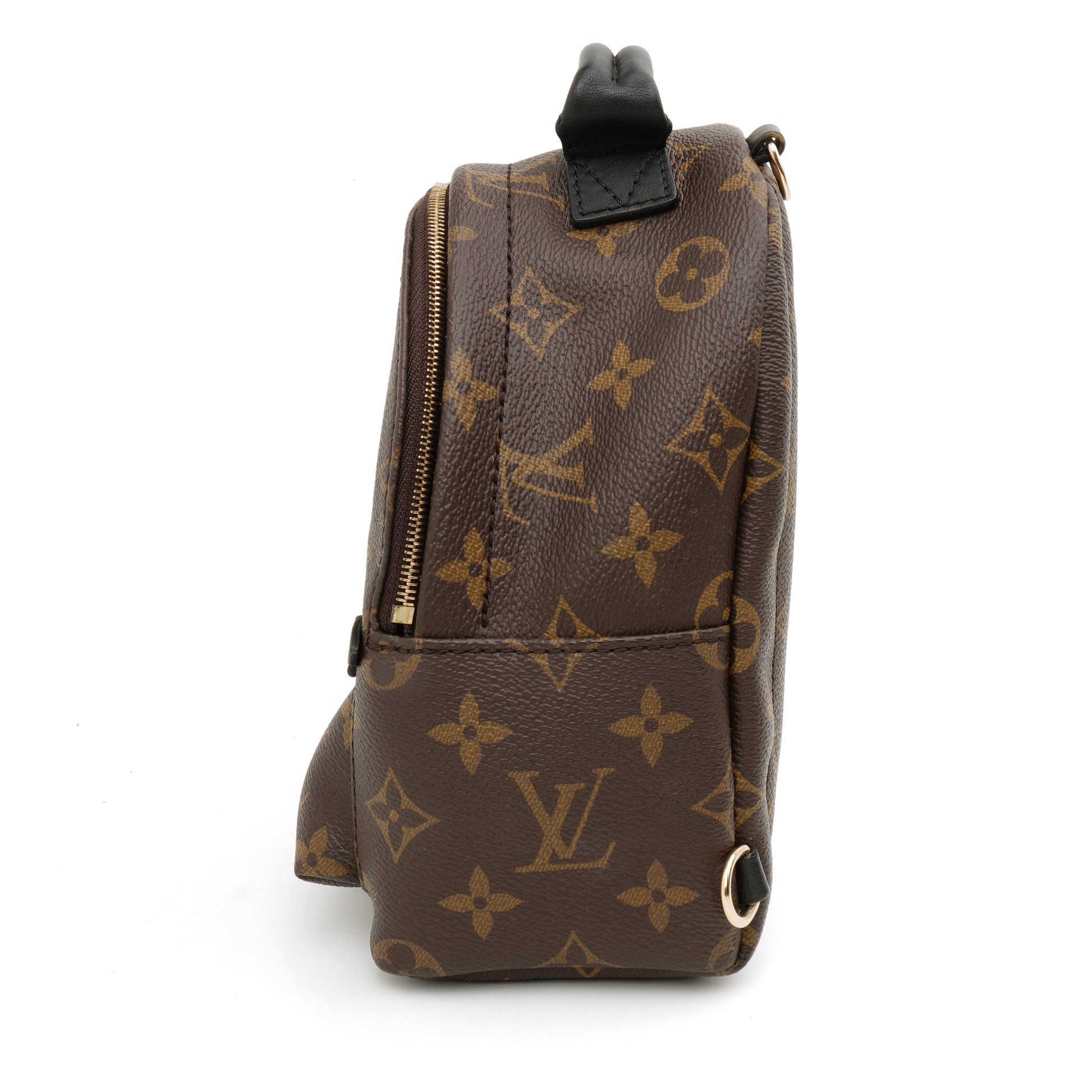 Louis Vuitton Palm Springs Mini Monogram