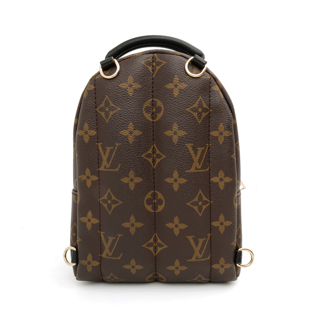 Louis Vuitton Palm Springs Mini Monogram