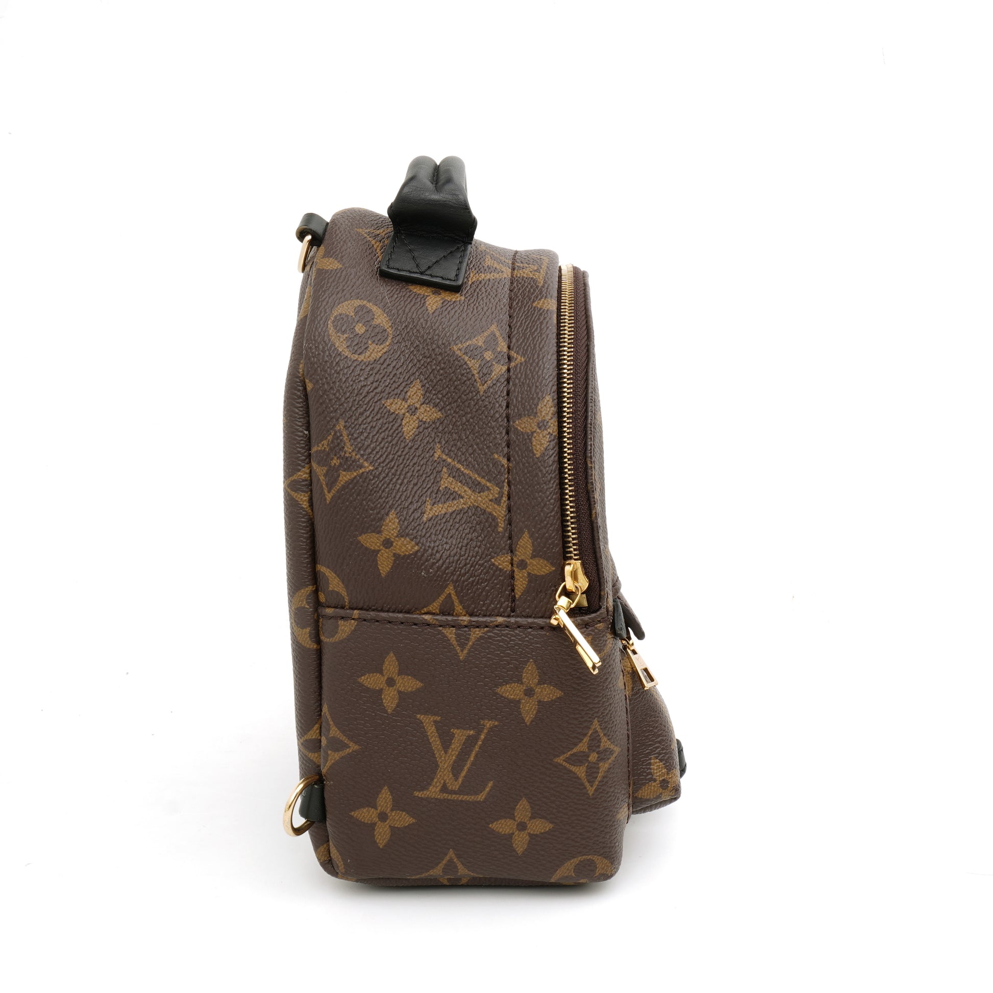 Louis Vuitton Palm Springs Mini Monogram