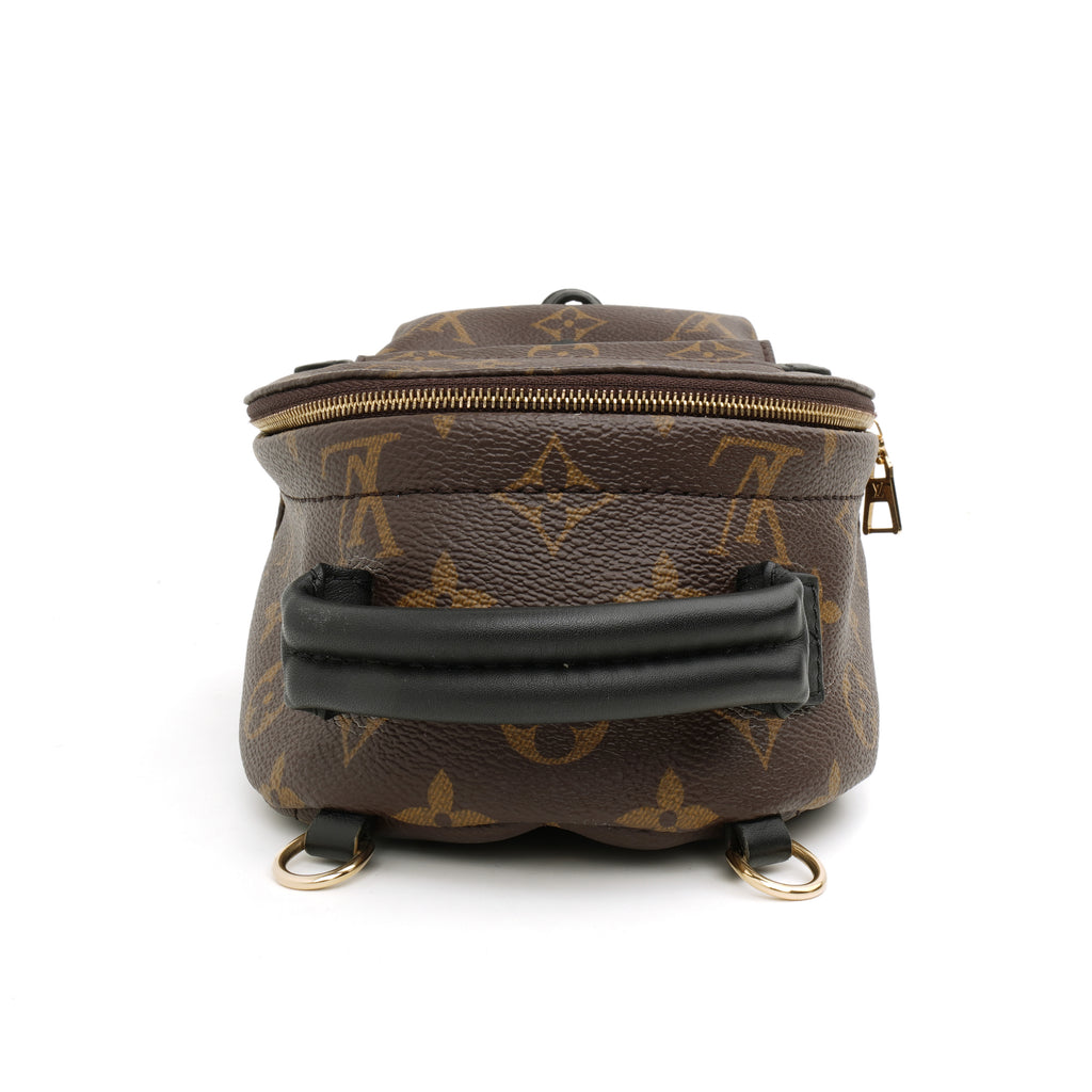 Louis Vuitton Palm Springs Mini Monogram