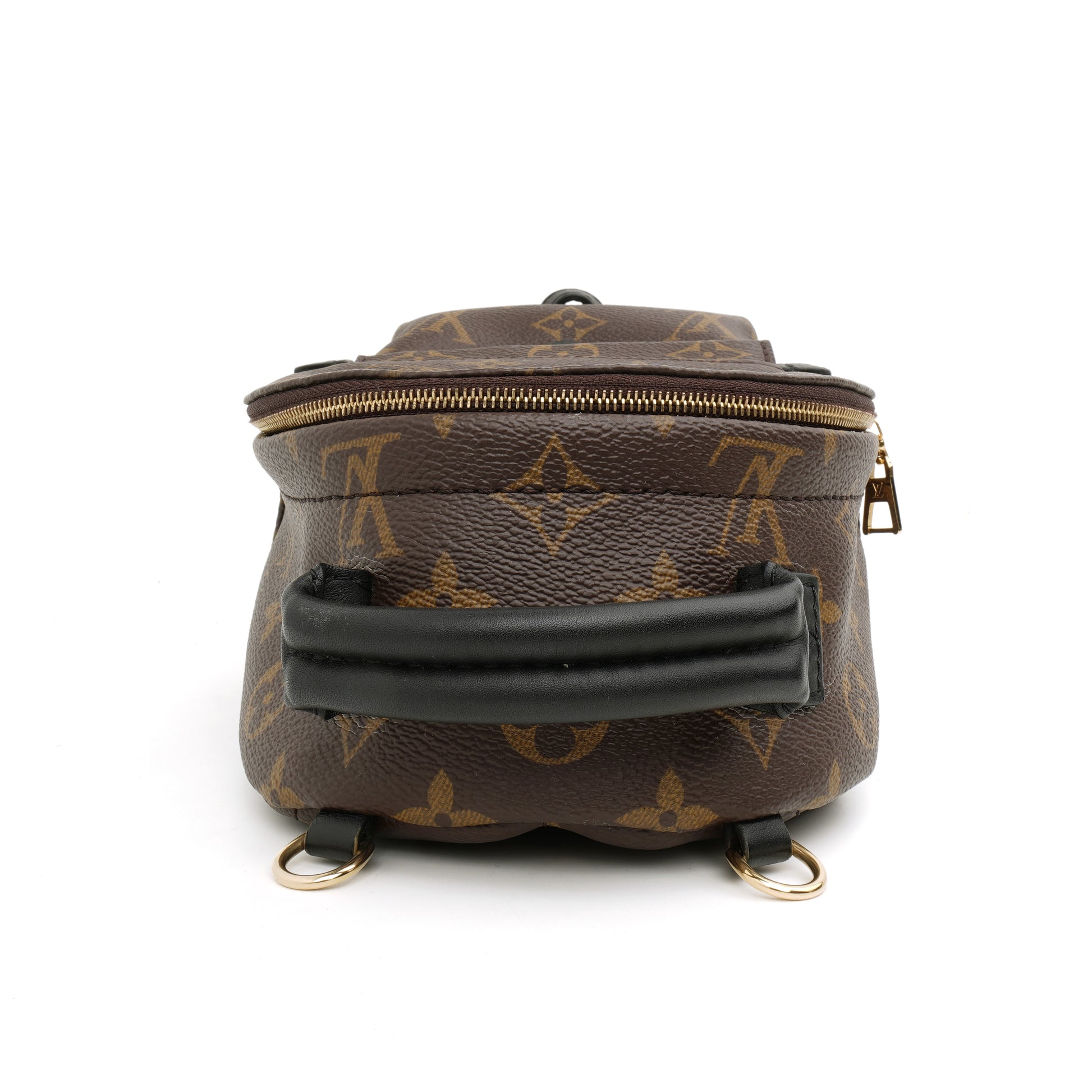 Louis Vuitton Palm Springs Mini Monogram
