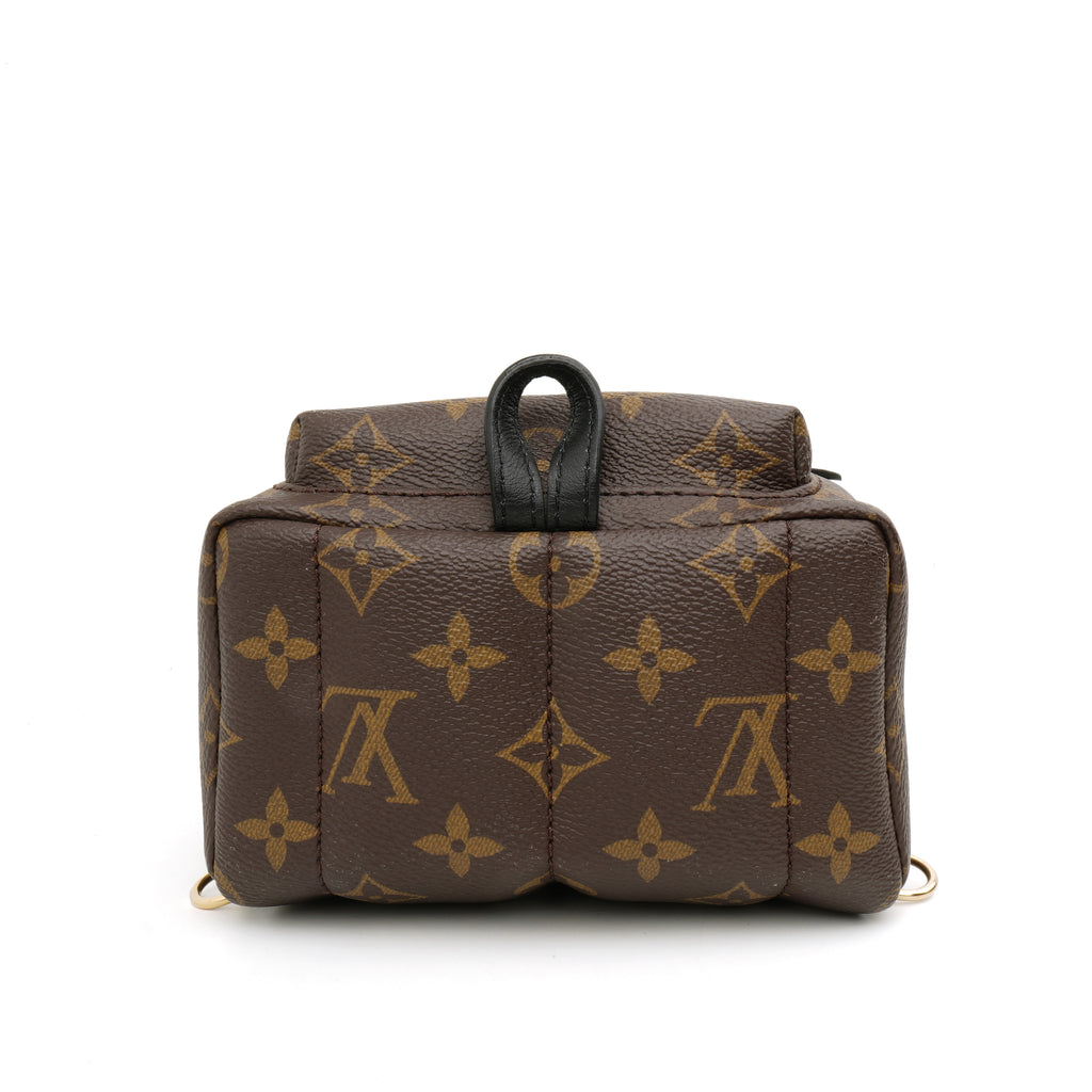 Louis Vuitton Palm Springs Mini Monogram