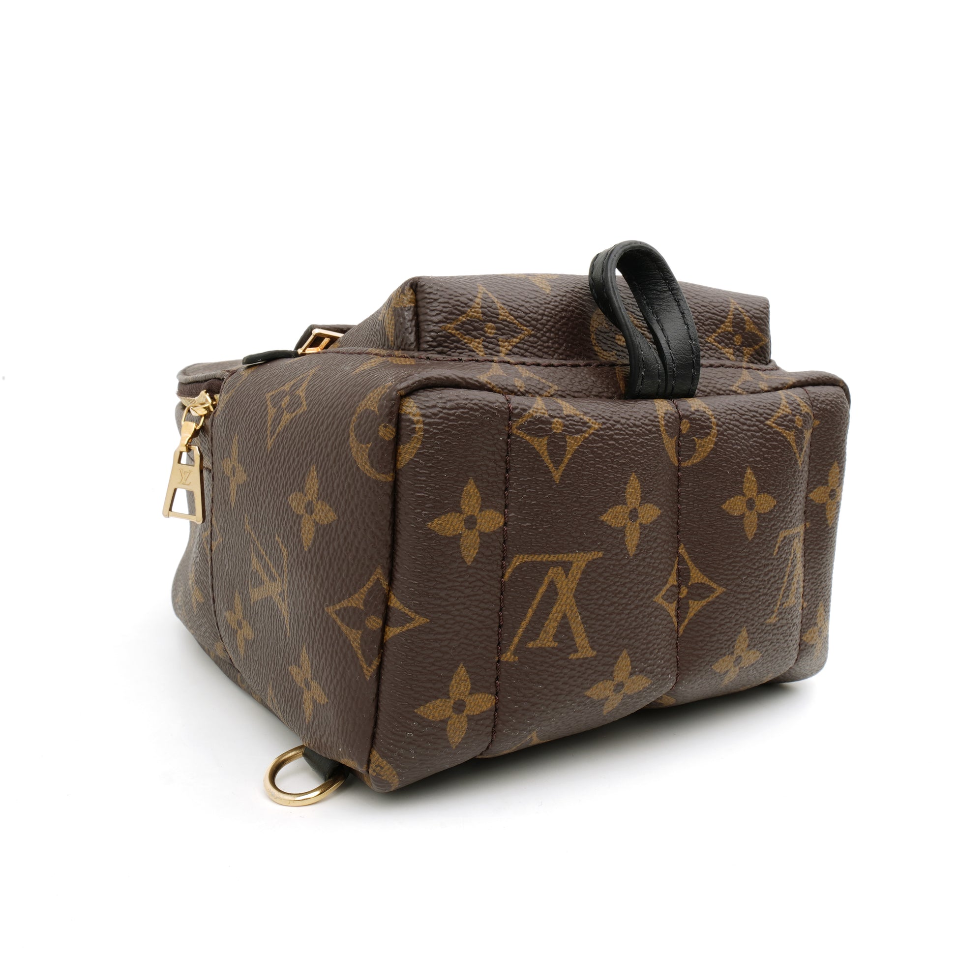 Louis Vuitton Palm Springs Mini Monogram