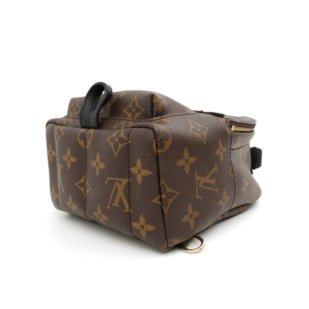 Louis Vuitton Palm Springs Mini Monogram