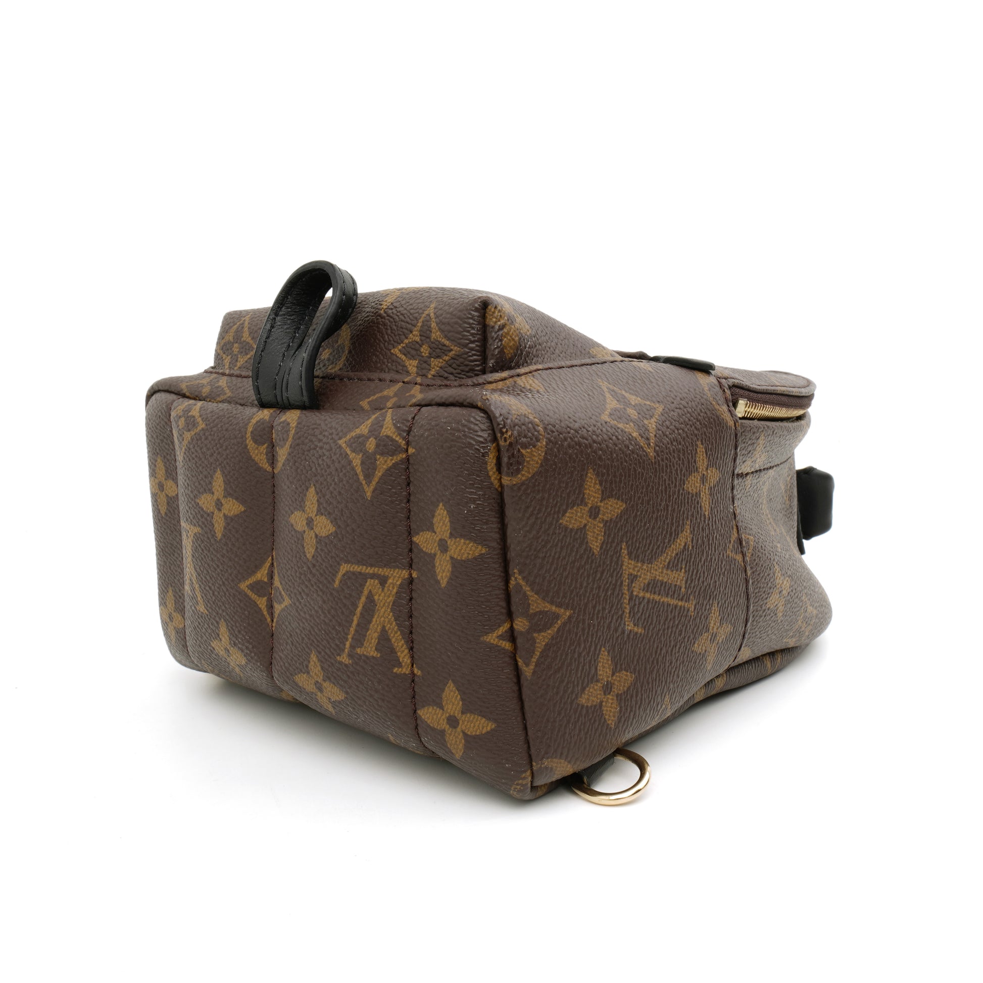 Louis Vuitton Palm Springs Mini Monogram