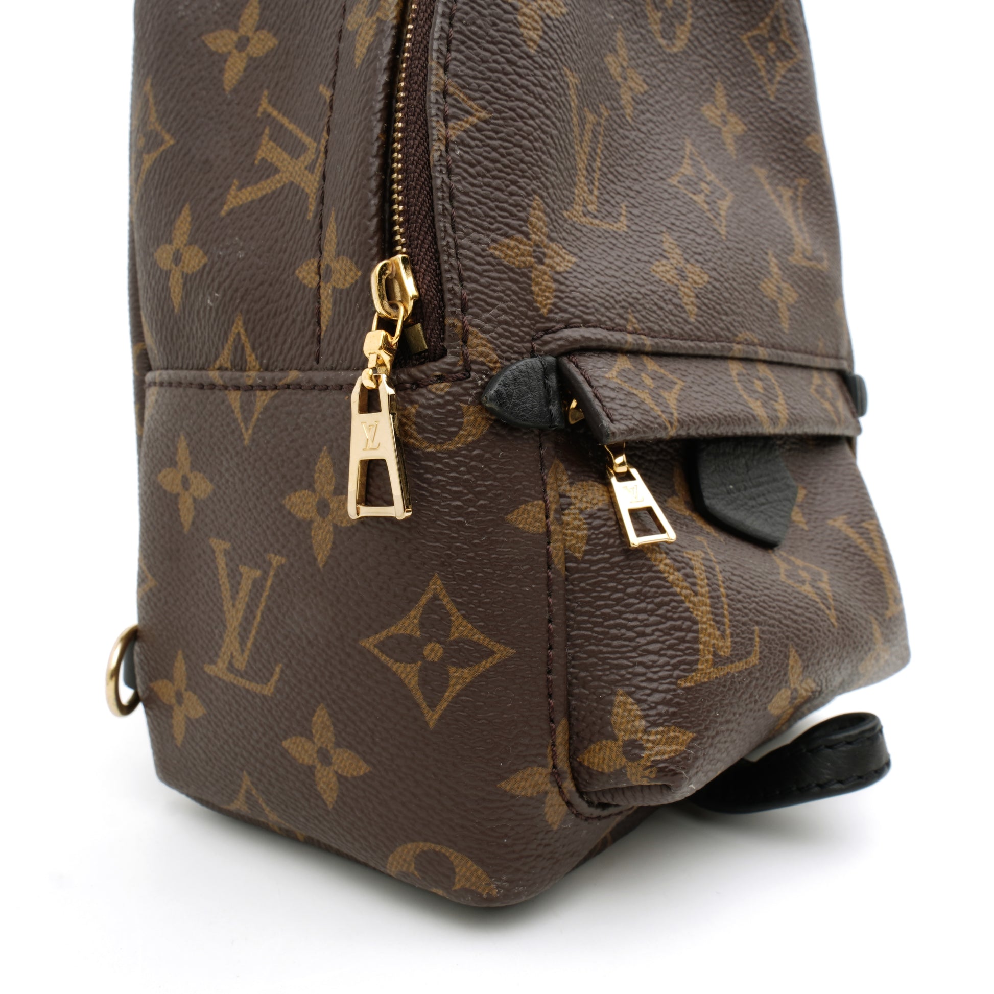Louis Vuitton Palm Springs Mini Monogram