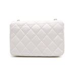 Chanel Seasonal Flap Crossbody