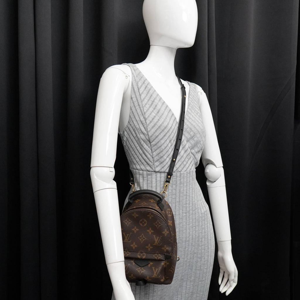 Louis Vuitton Palm Springs Mini Monogram