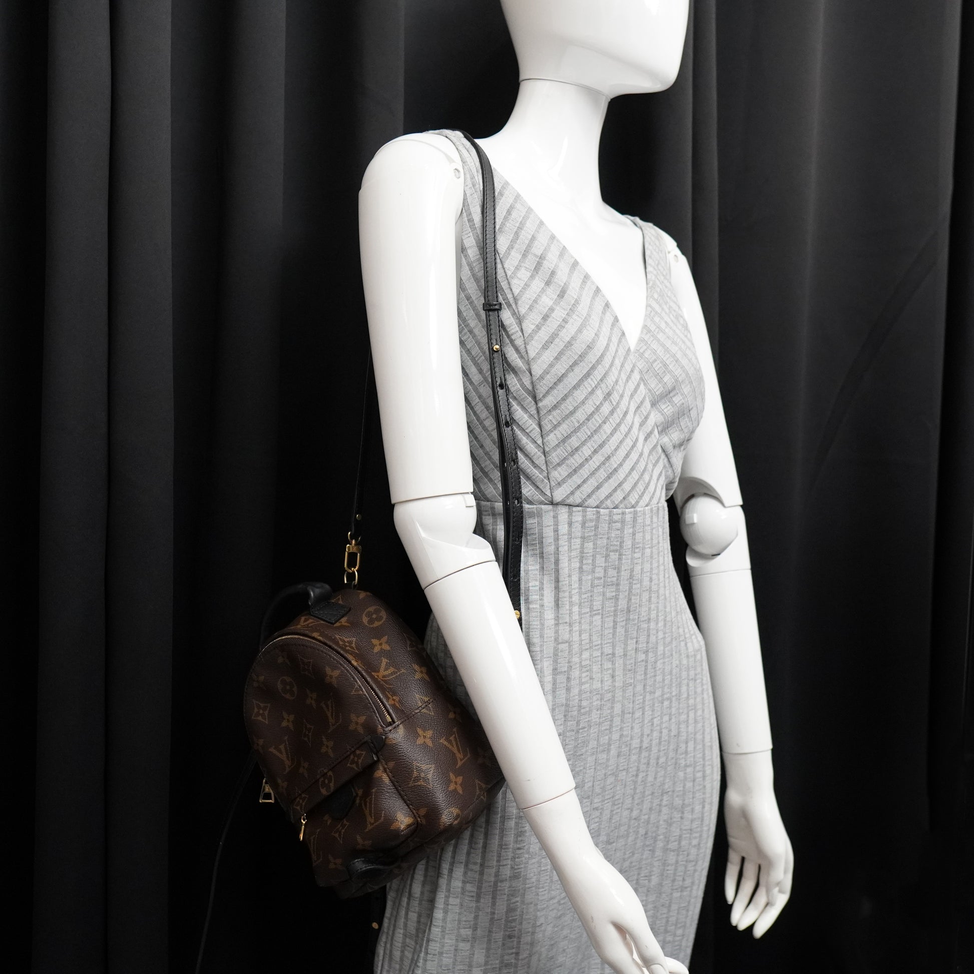Louis Vuitton Palm Springs Mini Monogram