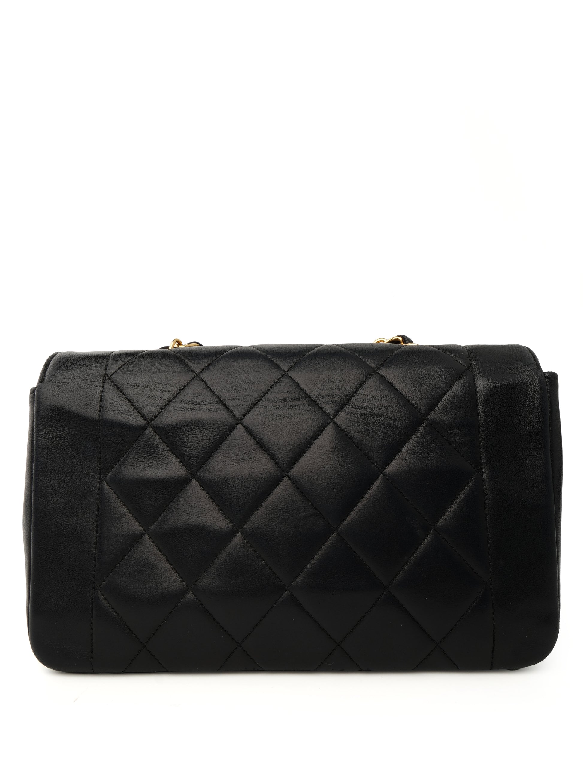 Chanel Diana Small