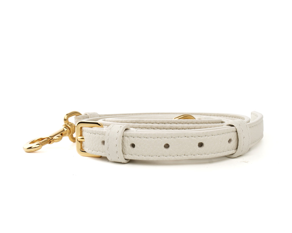 Dior Caro Pouch with Chain