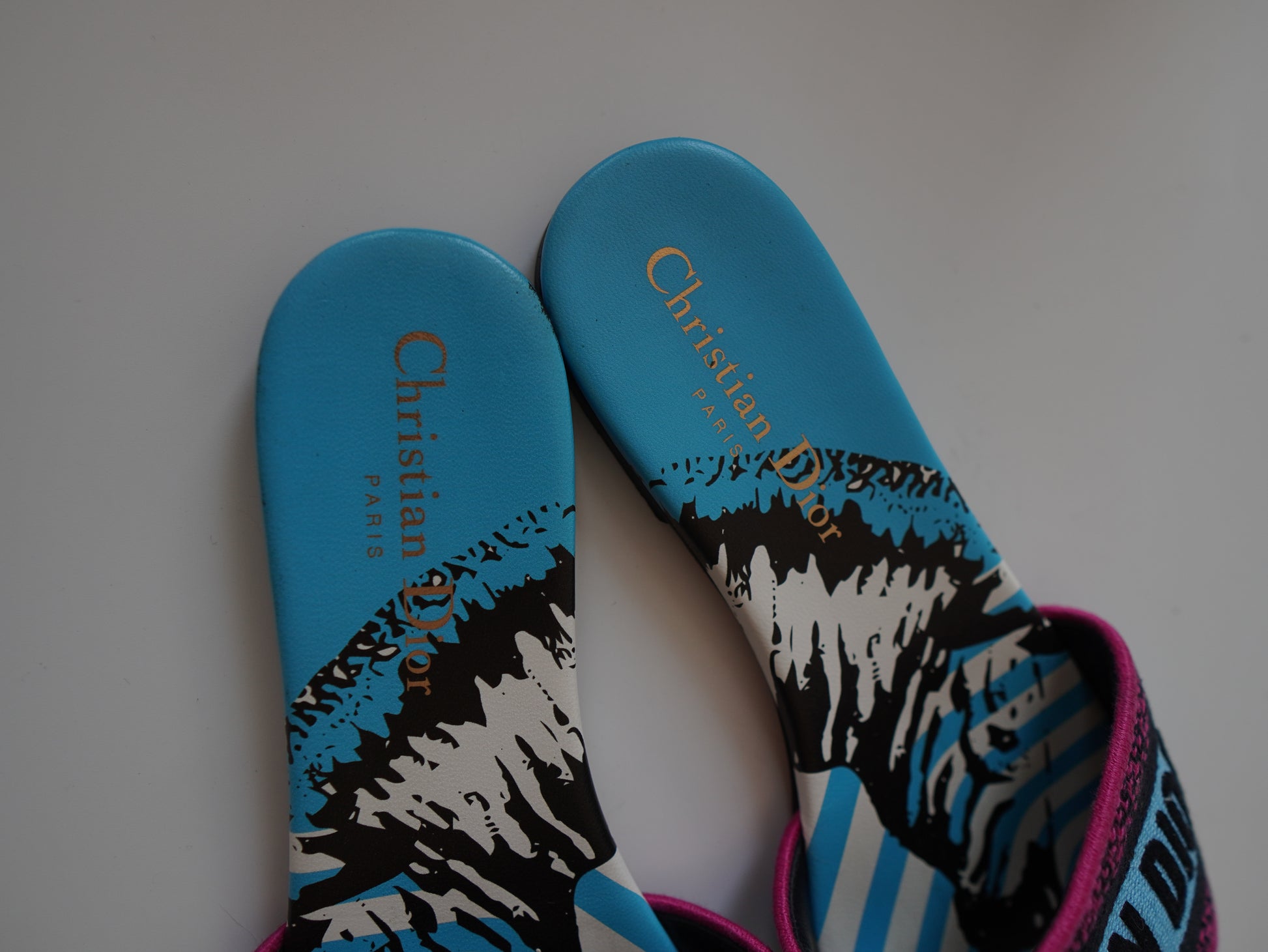 Dior Canvas D-Jungle Pop Embroidered Dway Flats 36