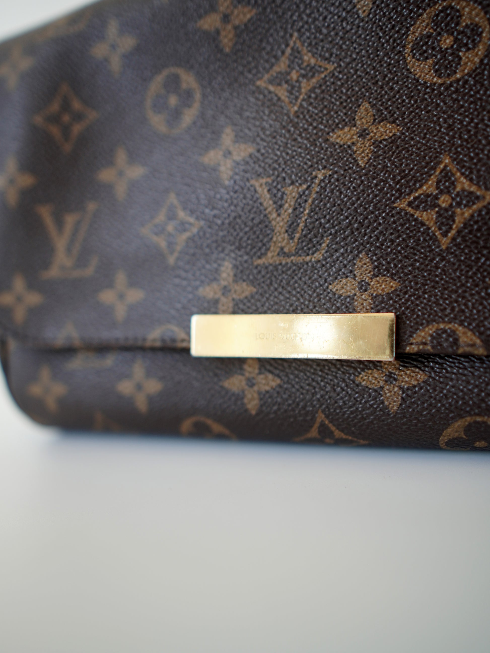 Louis Vuitton Favorite MM Monogram