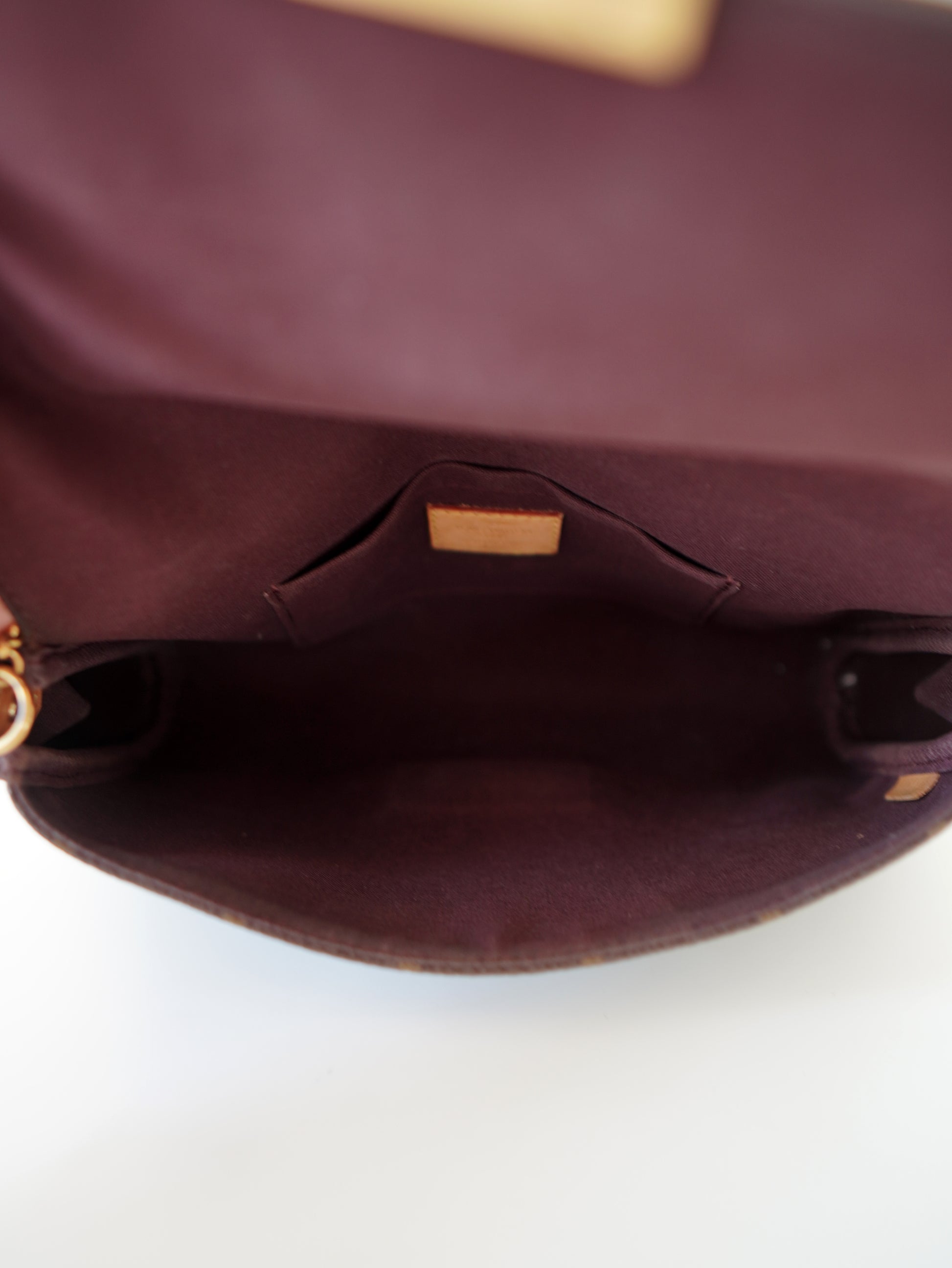 Louis Vuitton Favorite MM Monogram