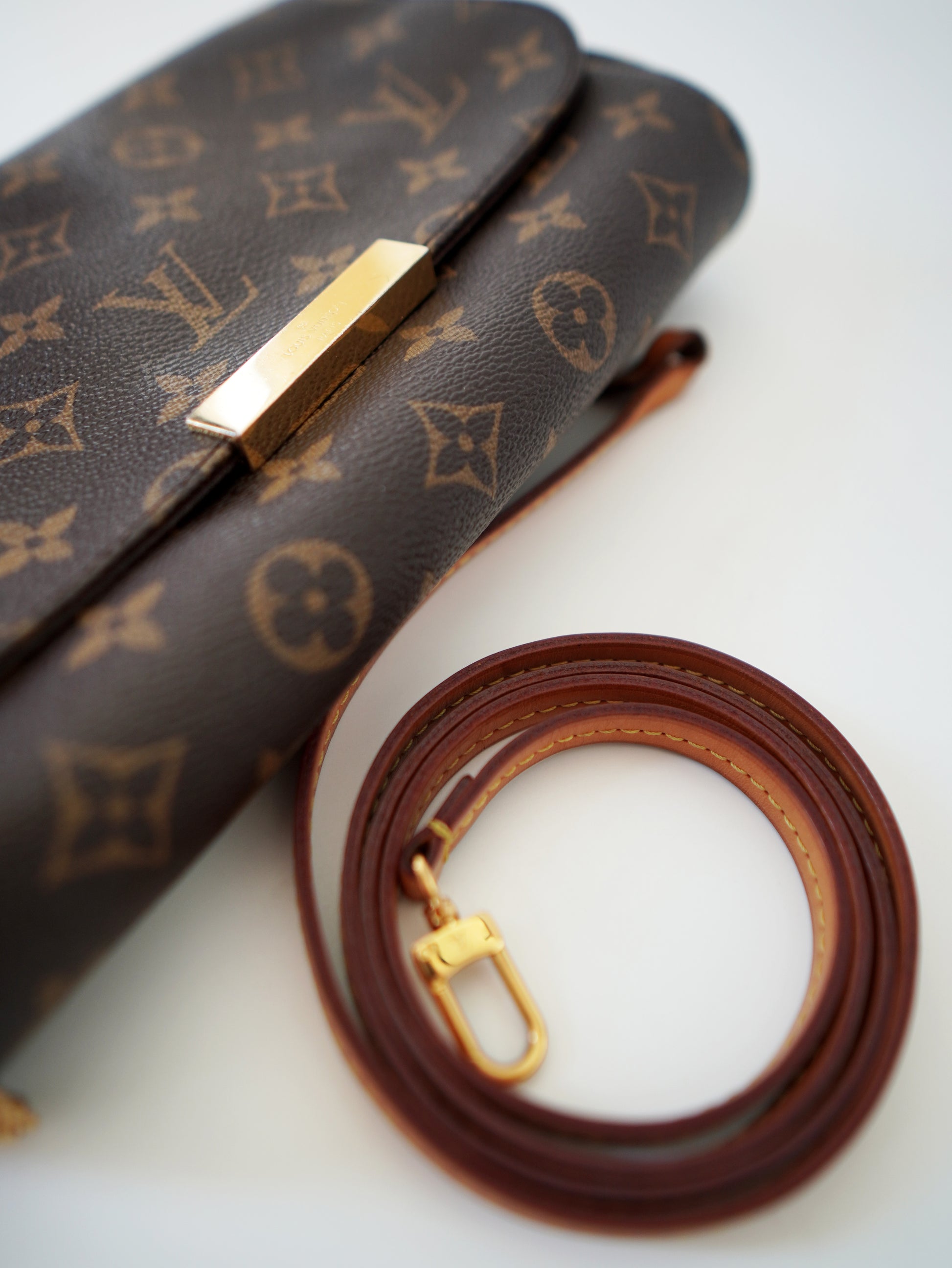 Louis Vuitton Favorite MM Monogram