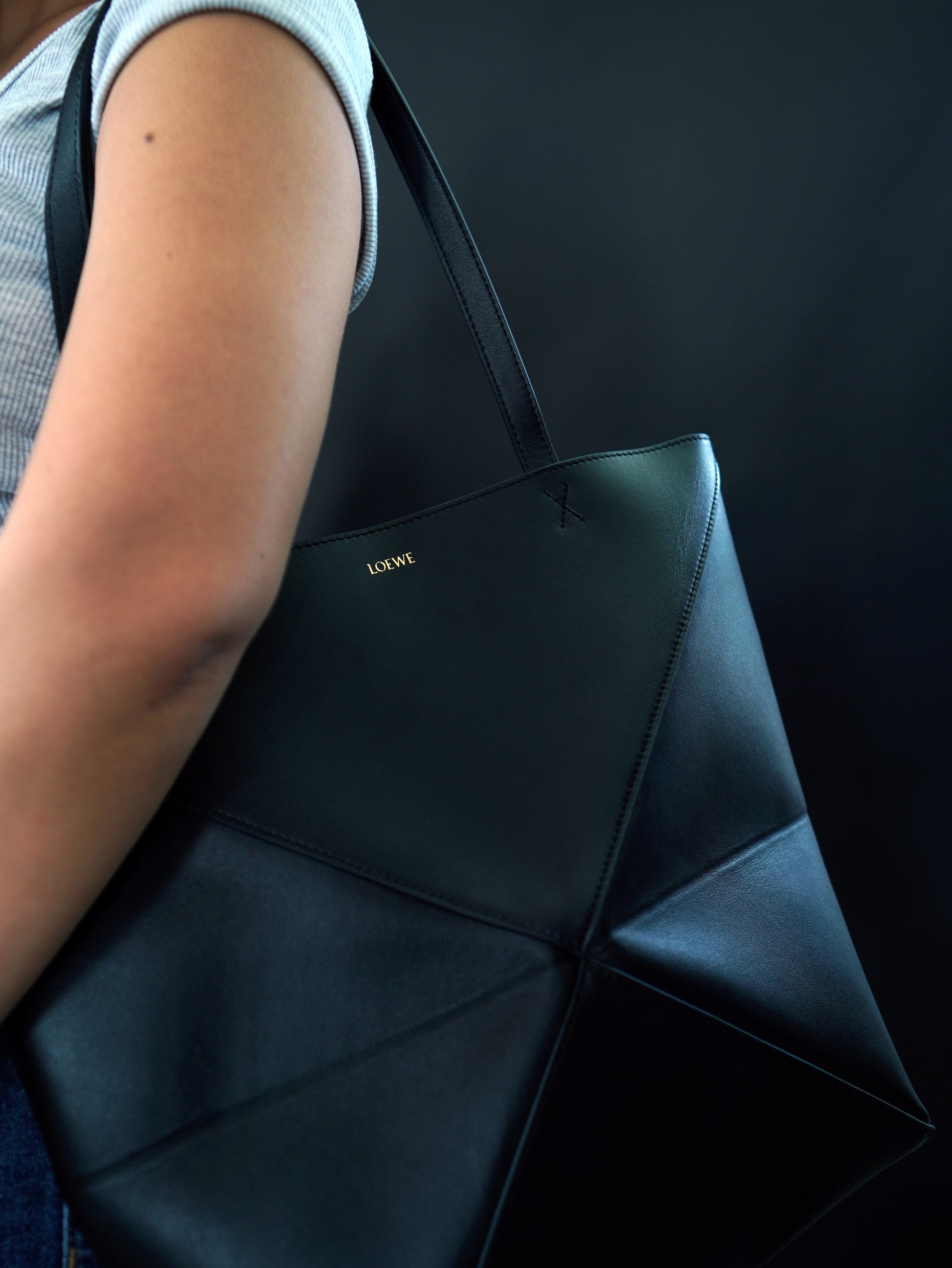 Loewe Puzzle Fold Tote Medium