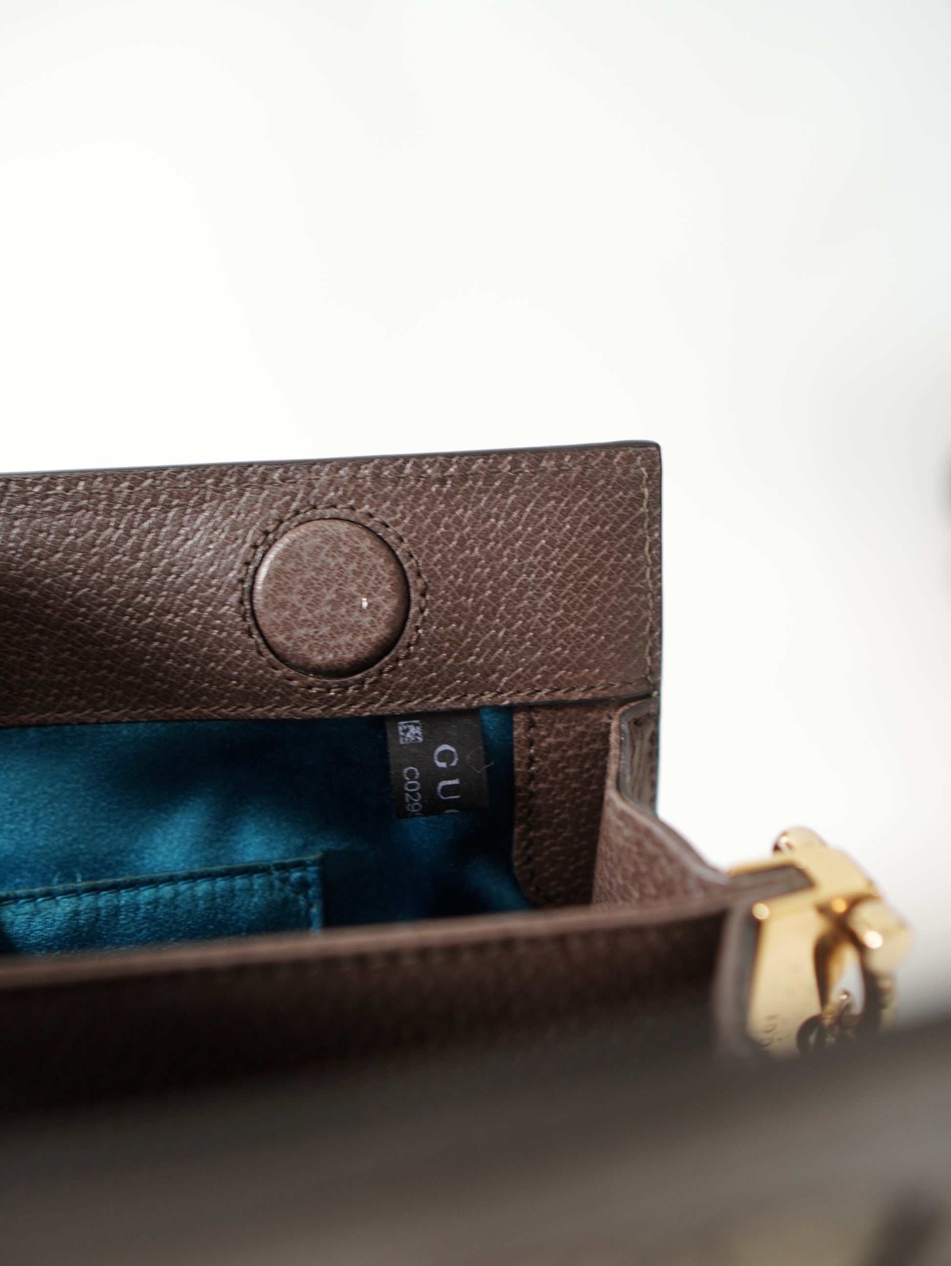 Gucci Ophidia Chain Shoulder Bag