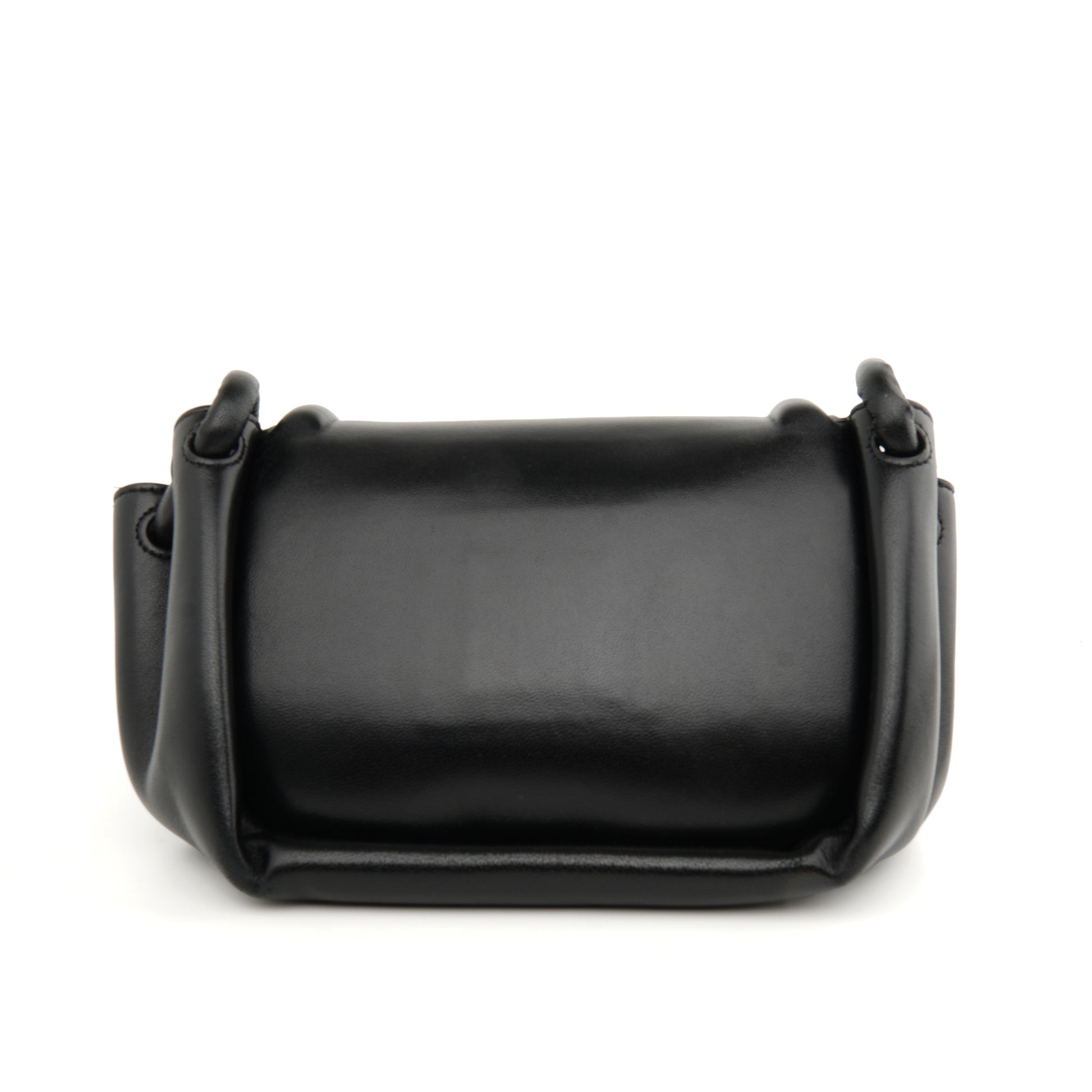 Bottega Veneta Beak Crossbody