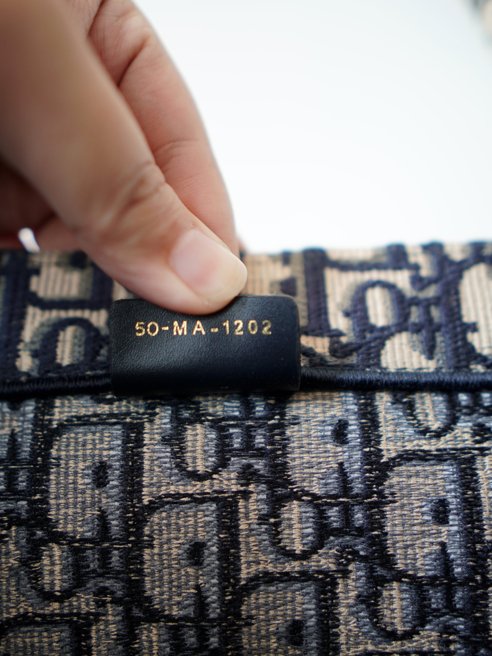 Dior Book Tote Large