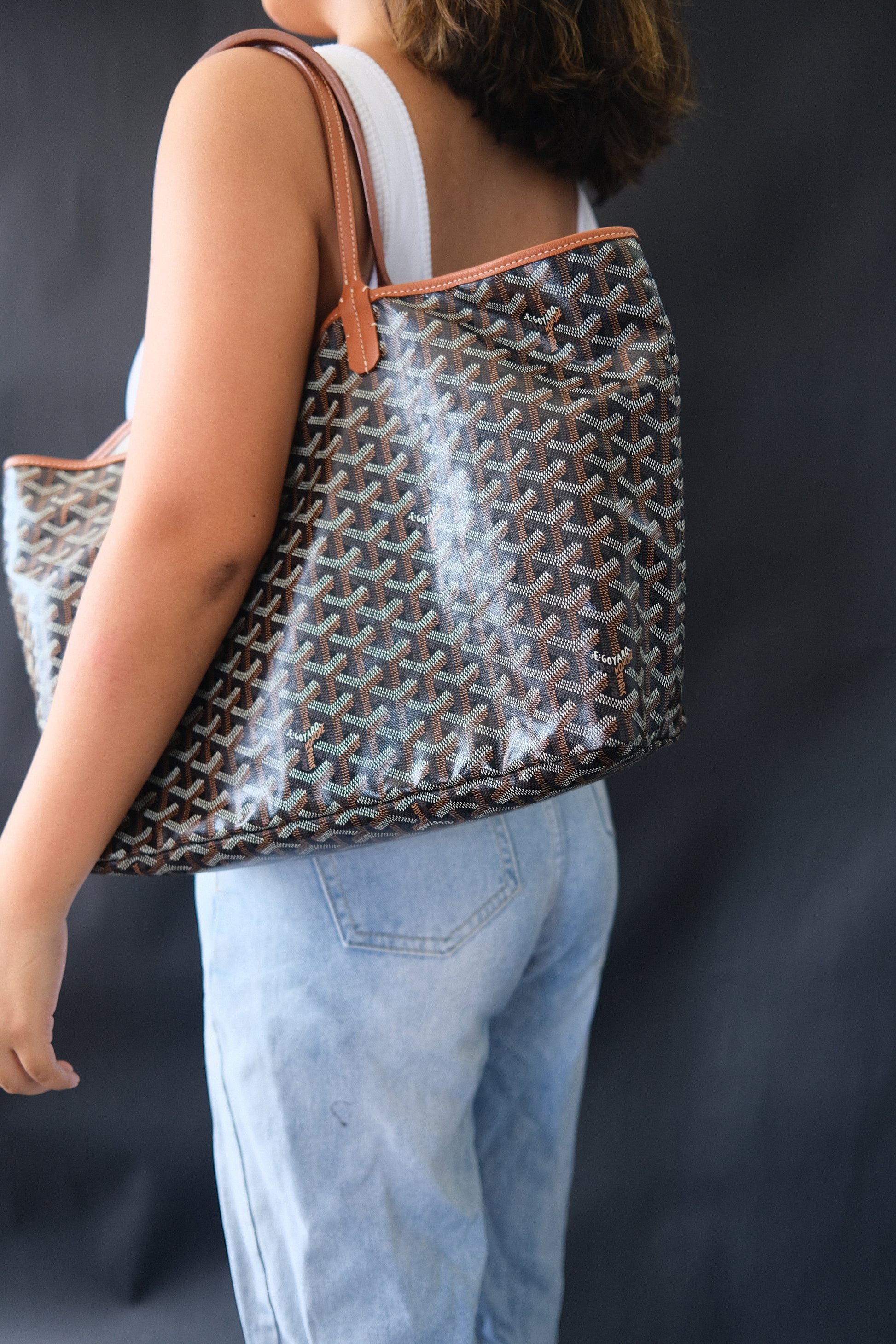 Goyard Saint Louis PM