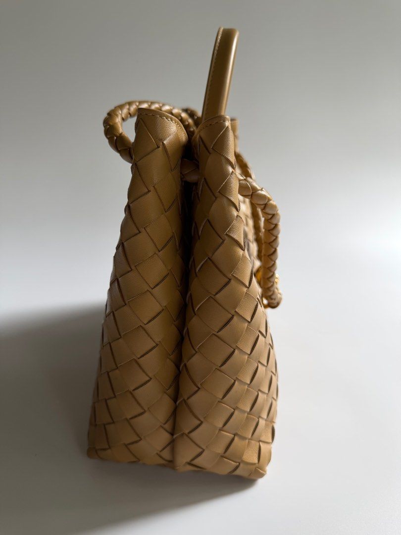 Bottega Veneta Andiamo Medium