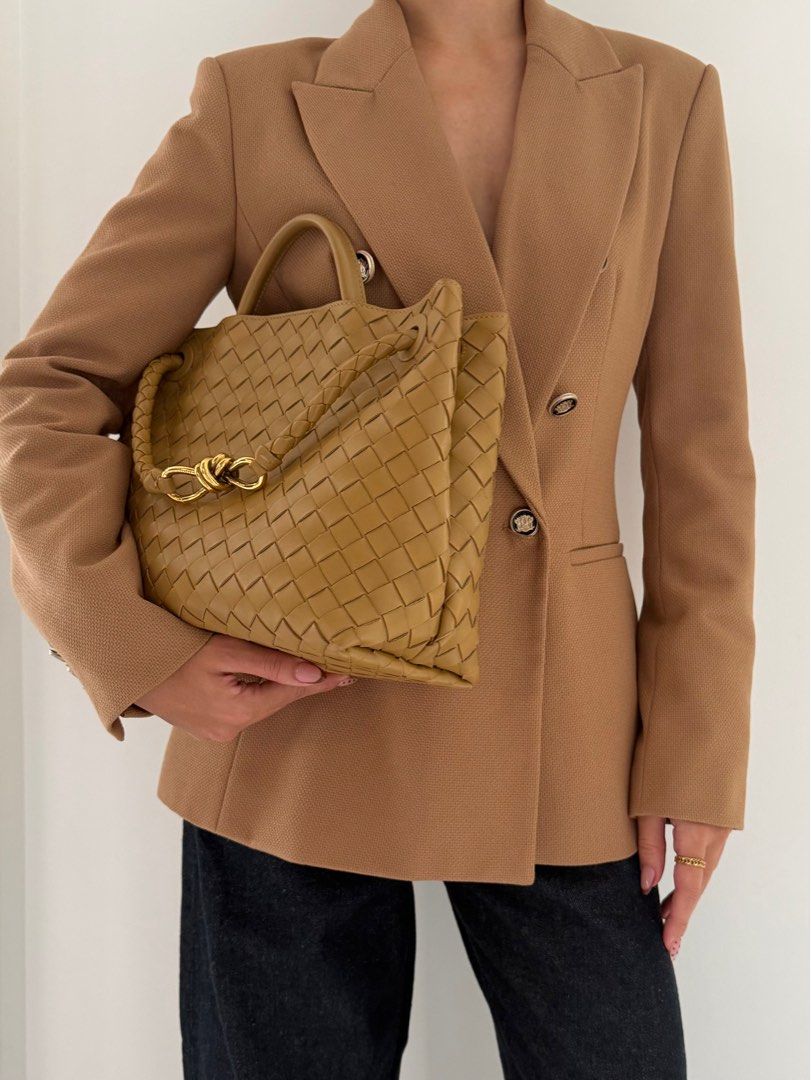 Bottega Veneta Andiamo Medium