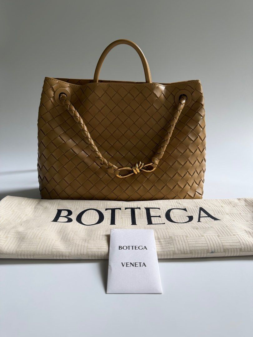 Bottega Veneta Andiamo Medium