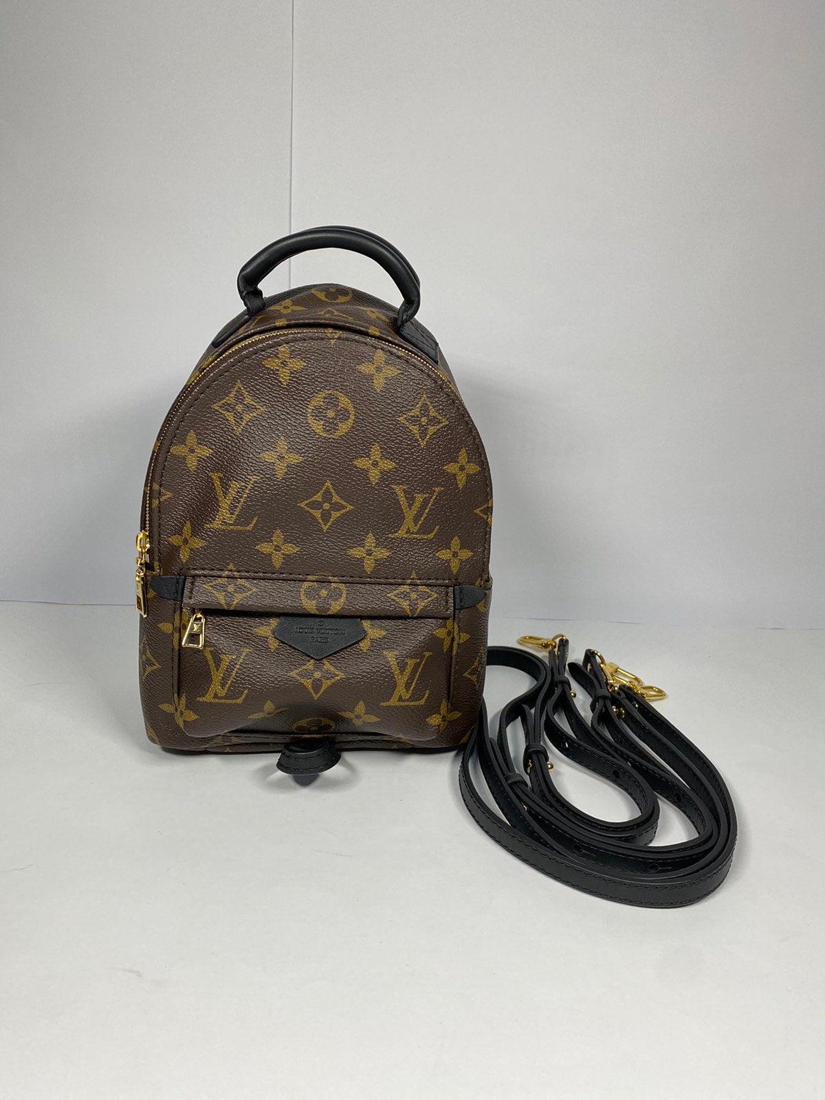 Louis Vuitton Palm Springs Mini Monogram