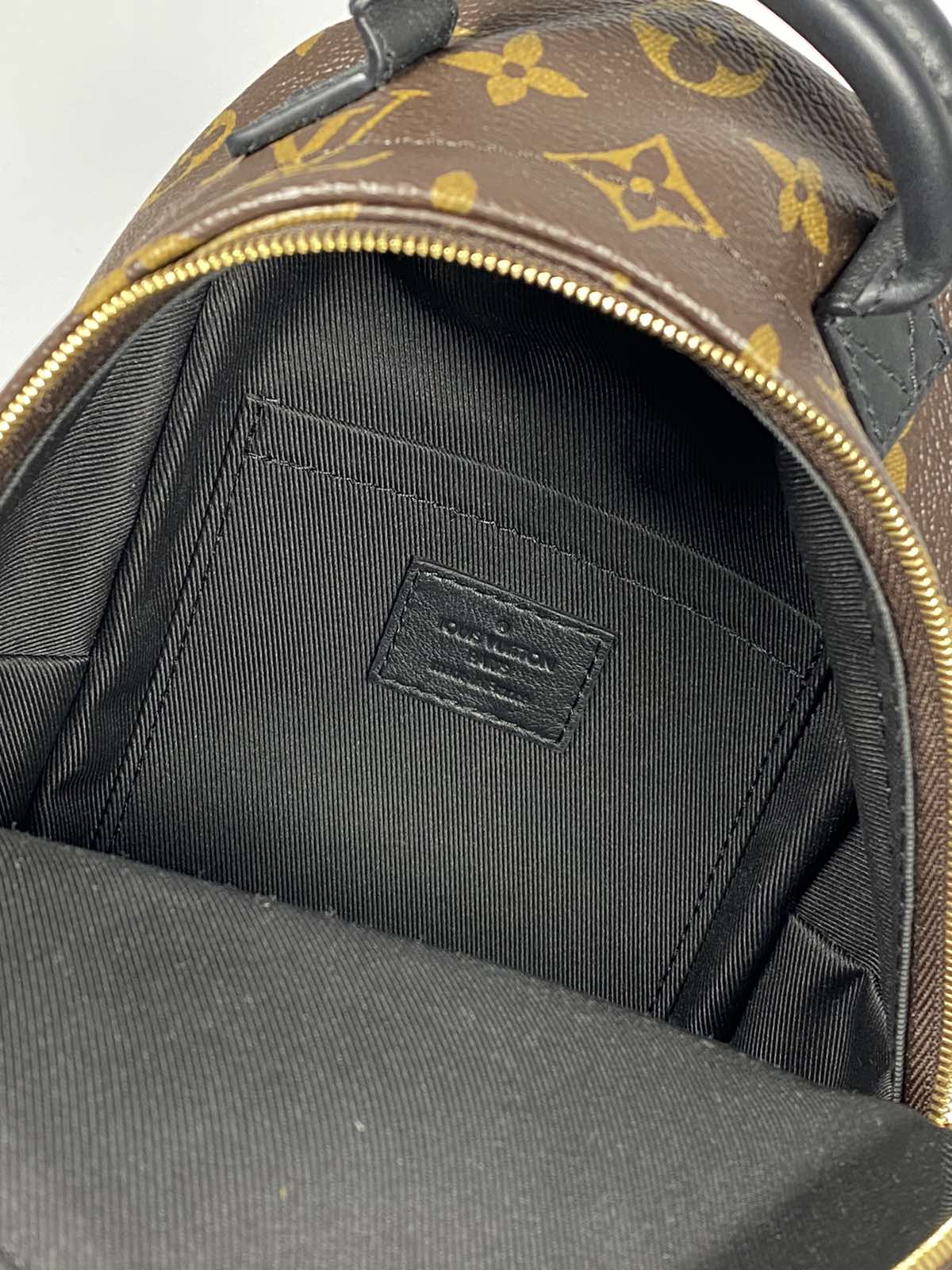 Louis Vuitton Palm Springs Mini Monogram