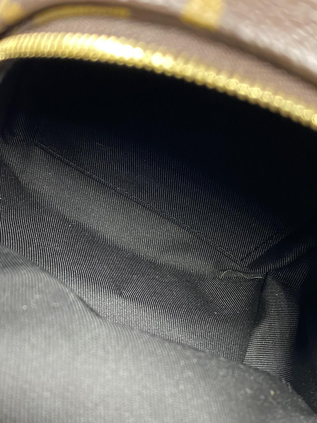 Louis Vuitton Palm Springs Mini Monogram