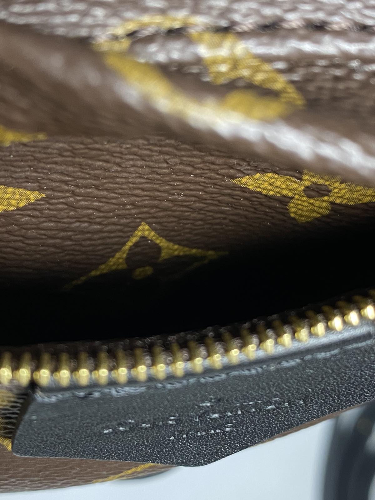 Louis Vuitton Palm Springs Mini Monogram