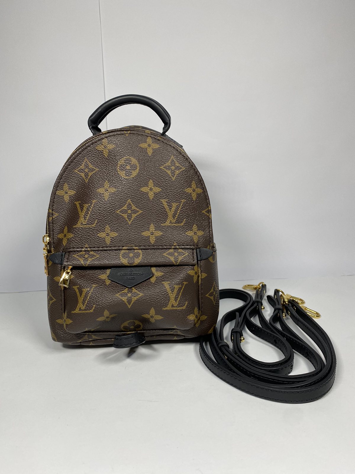 Louis Vuitton Palm Springs Mini Monogram